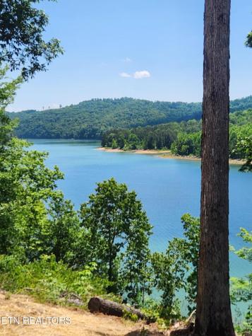 155 Island Road New Tazewell TN 37825