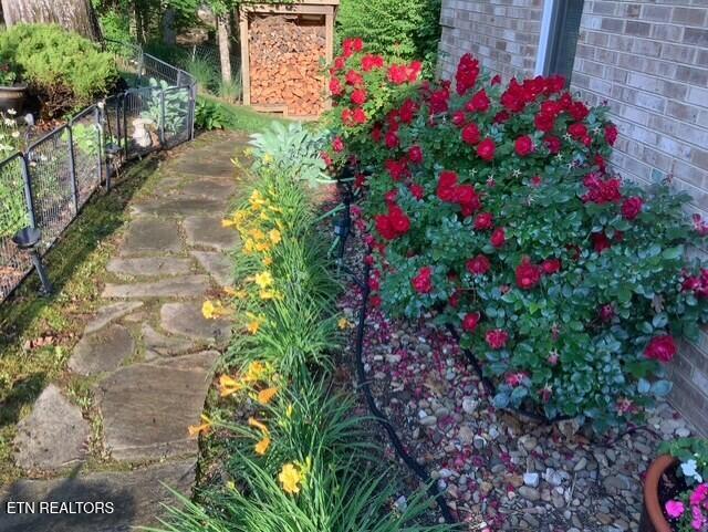 891 Yoakum Hollow Road Jacksboro TN 37757