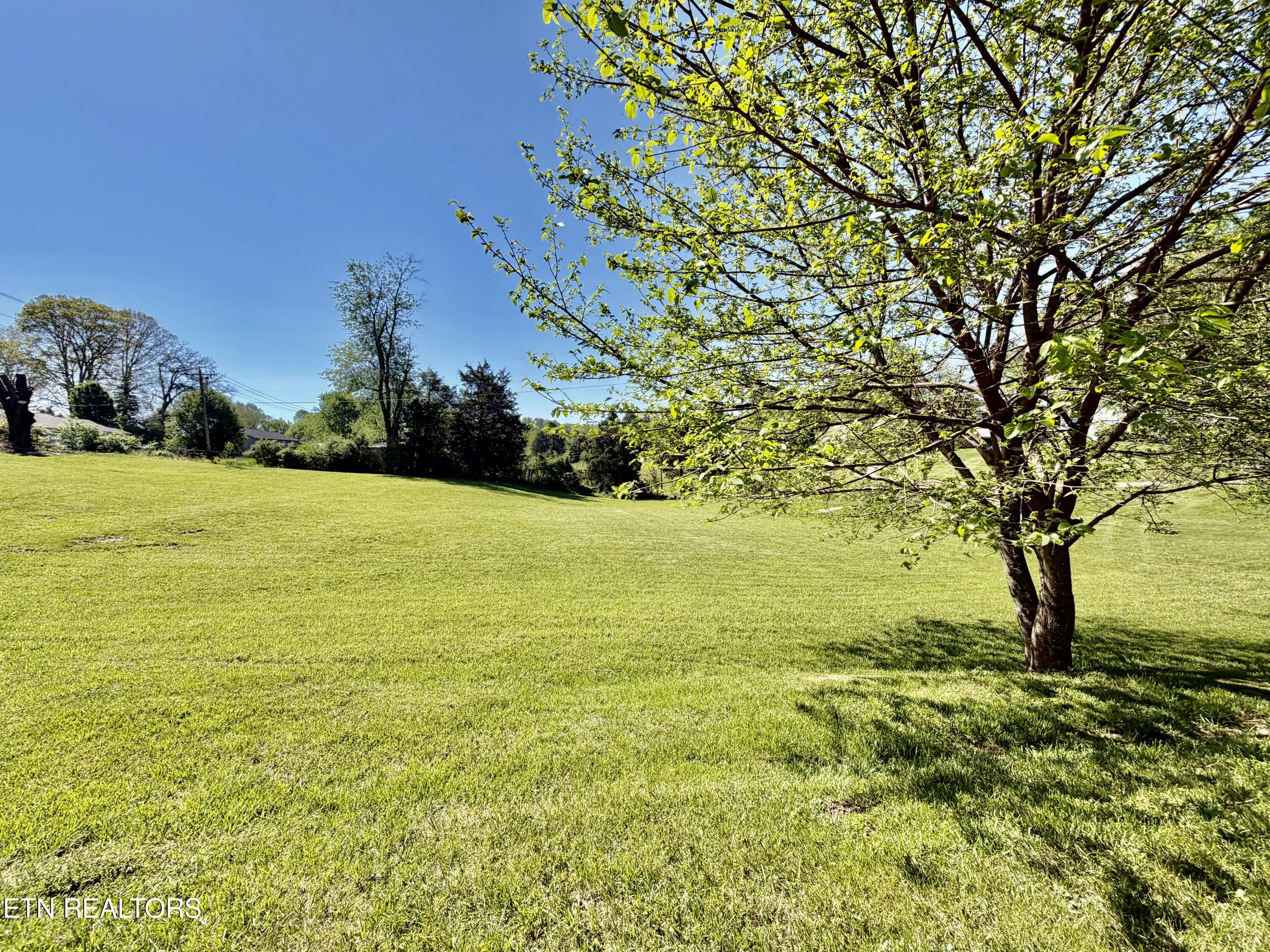 815 Payne Drive New Tazewell TN 37825
