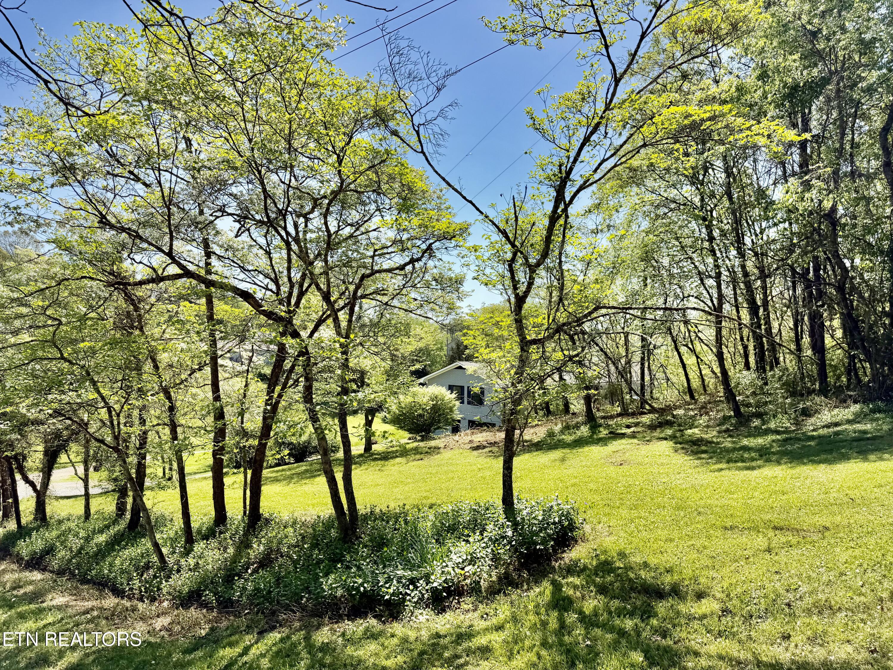 815 Payne Drive New Tazewell TN 37825