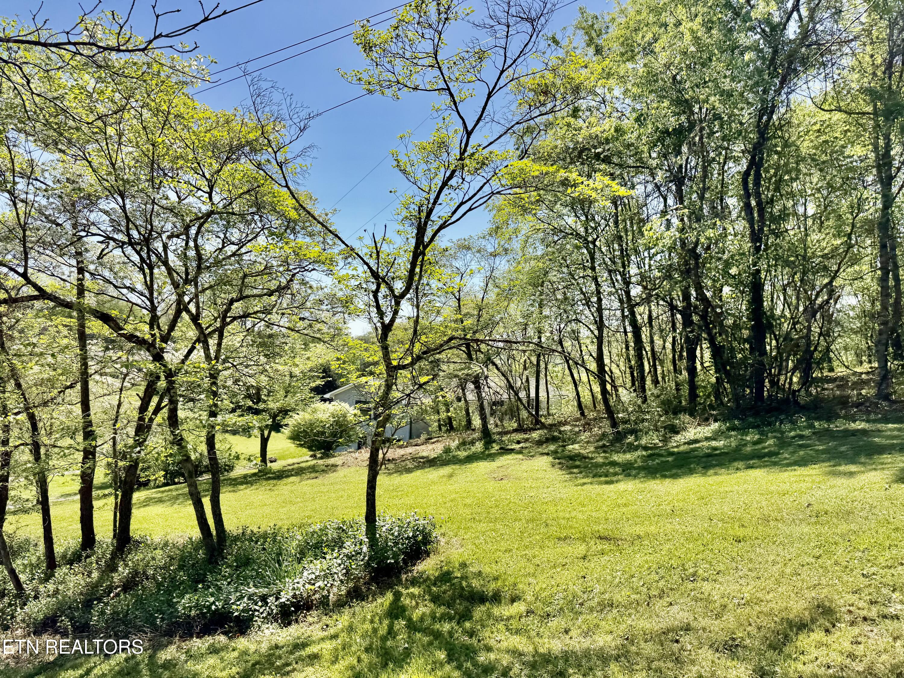 815 Payne Drive New Tazewell TN 37825