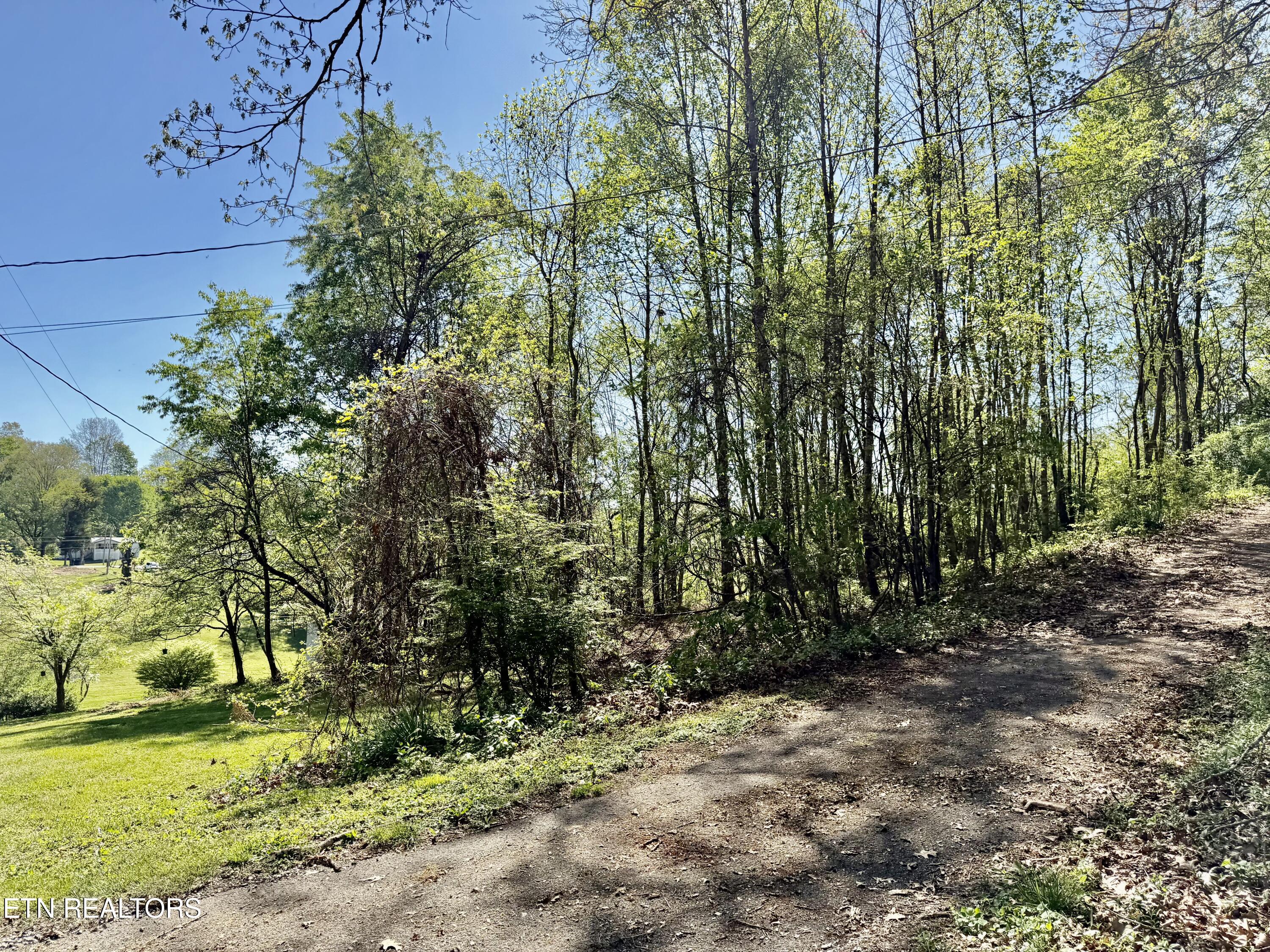 815 Payne Drive New Tazewell TN 37825