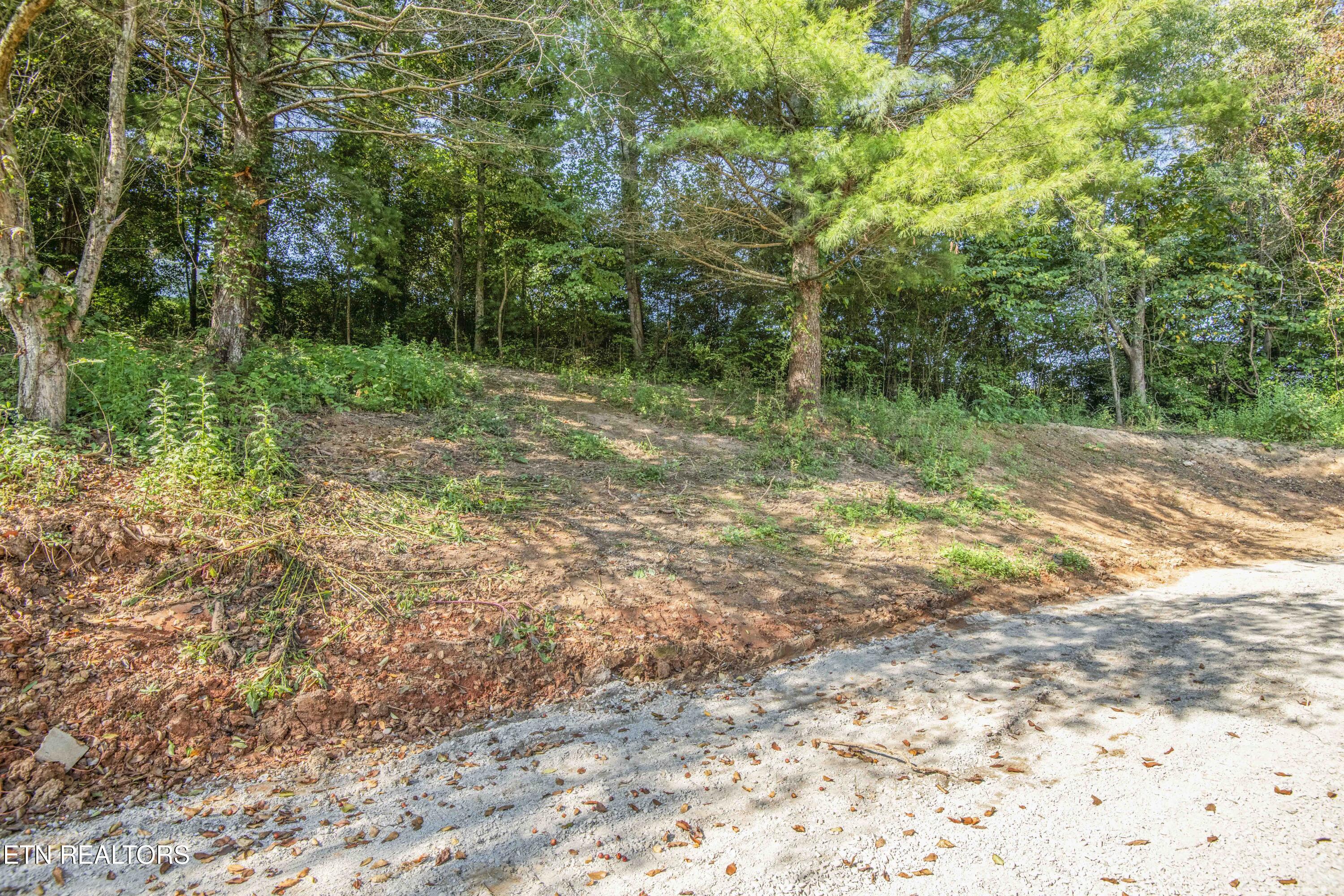 239 Honey Drive New Tazewell TN 37825