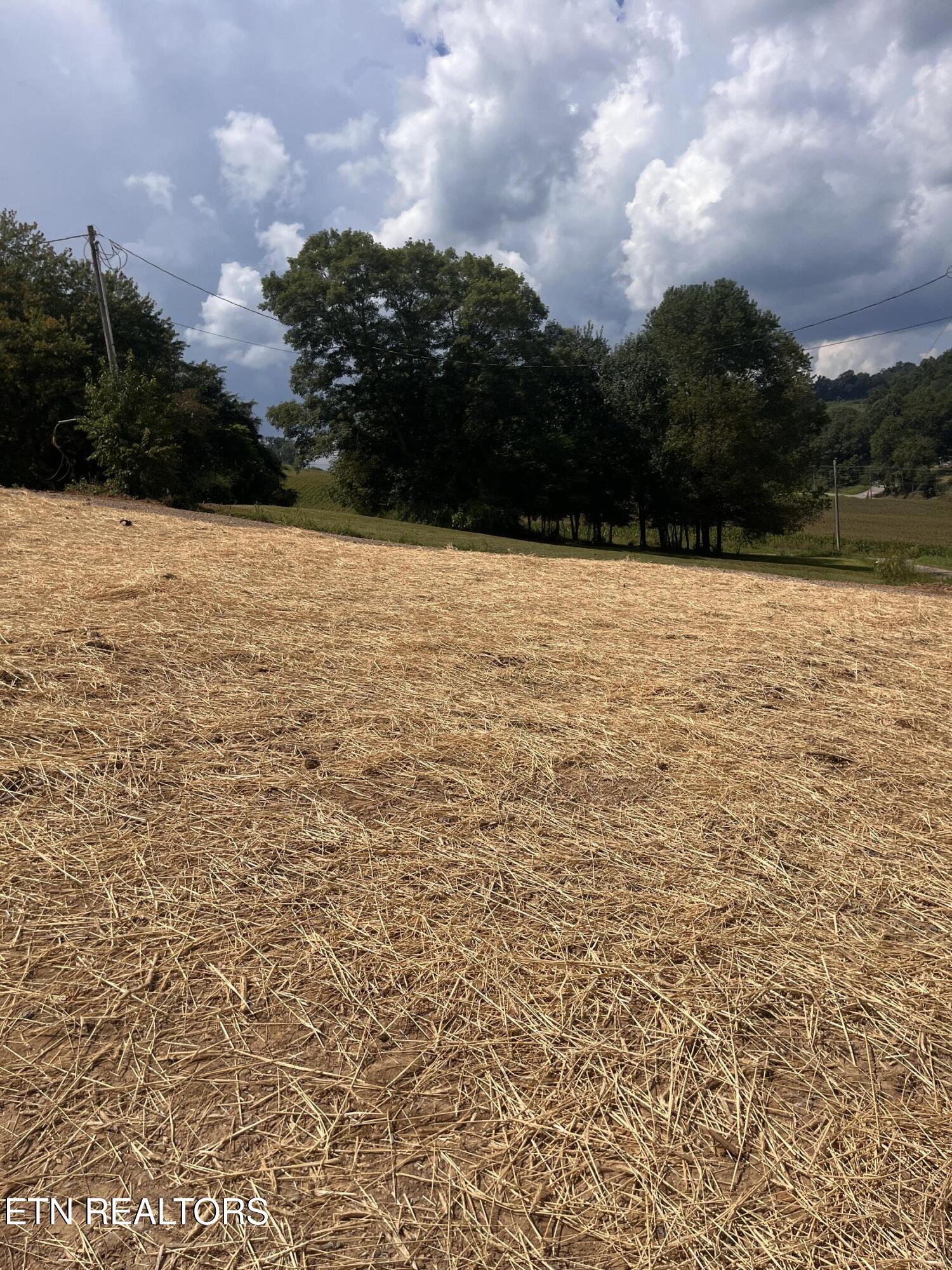 239 Honey Drive New Tazewell TN 37825