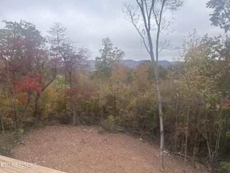 568 Low Valley Road Dandridge TN 37725