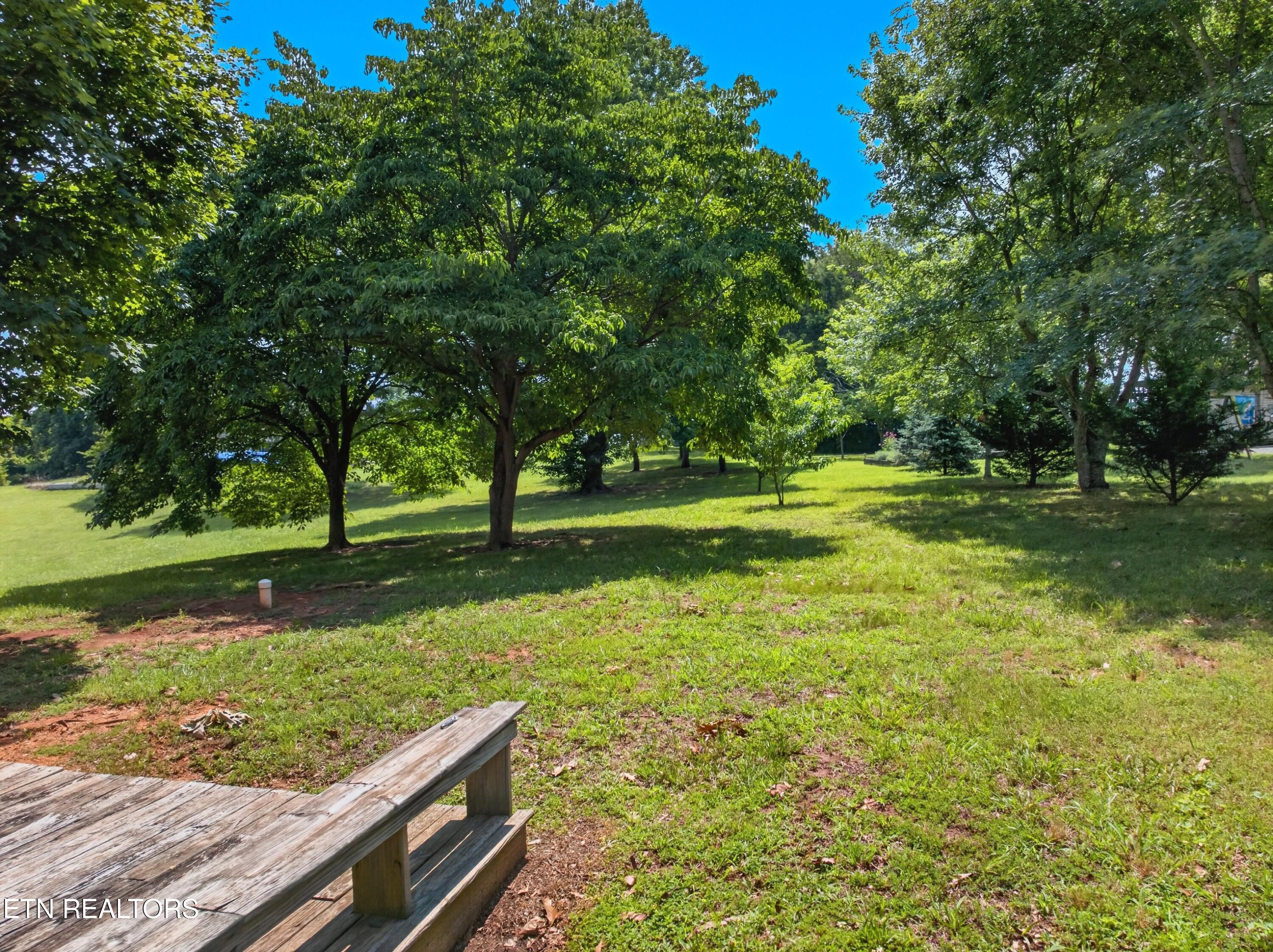 219 Sullivan Pointe Dandridge TN 37725