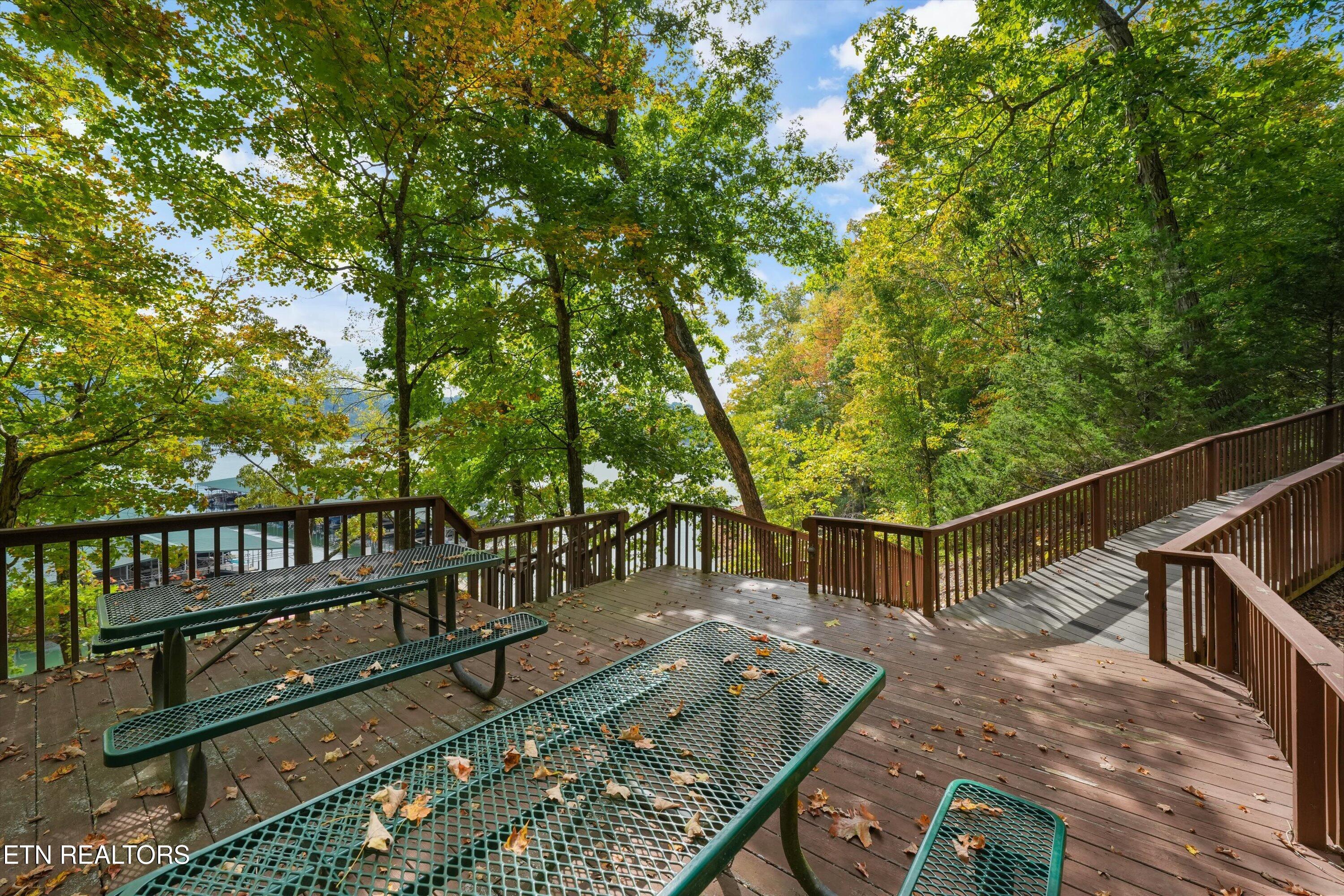 119 Larimar Lane New Tazewell TN 37825