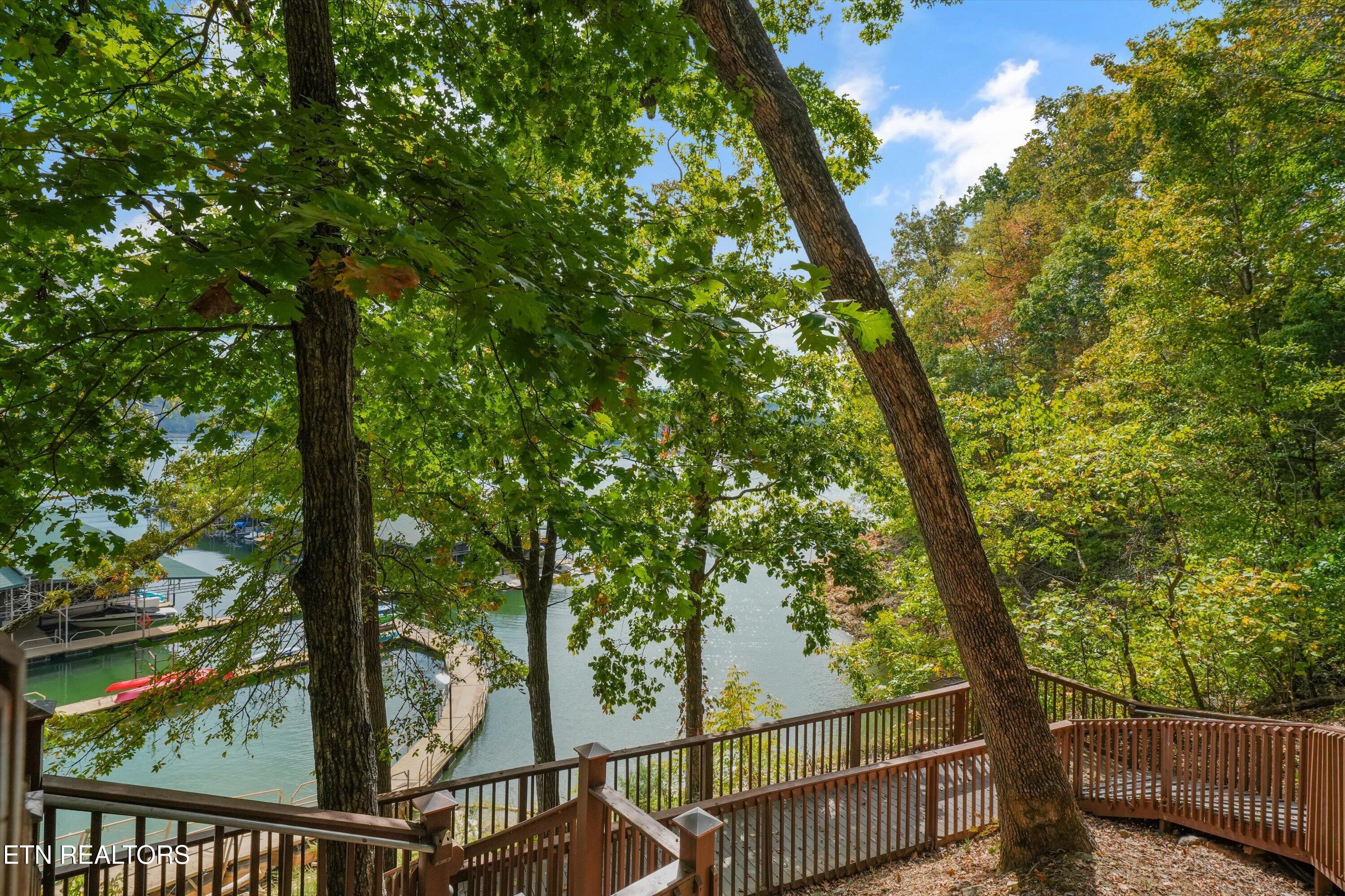 119 Larimar Lane New Tazewell TN 37825