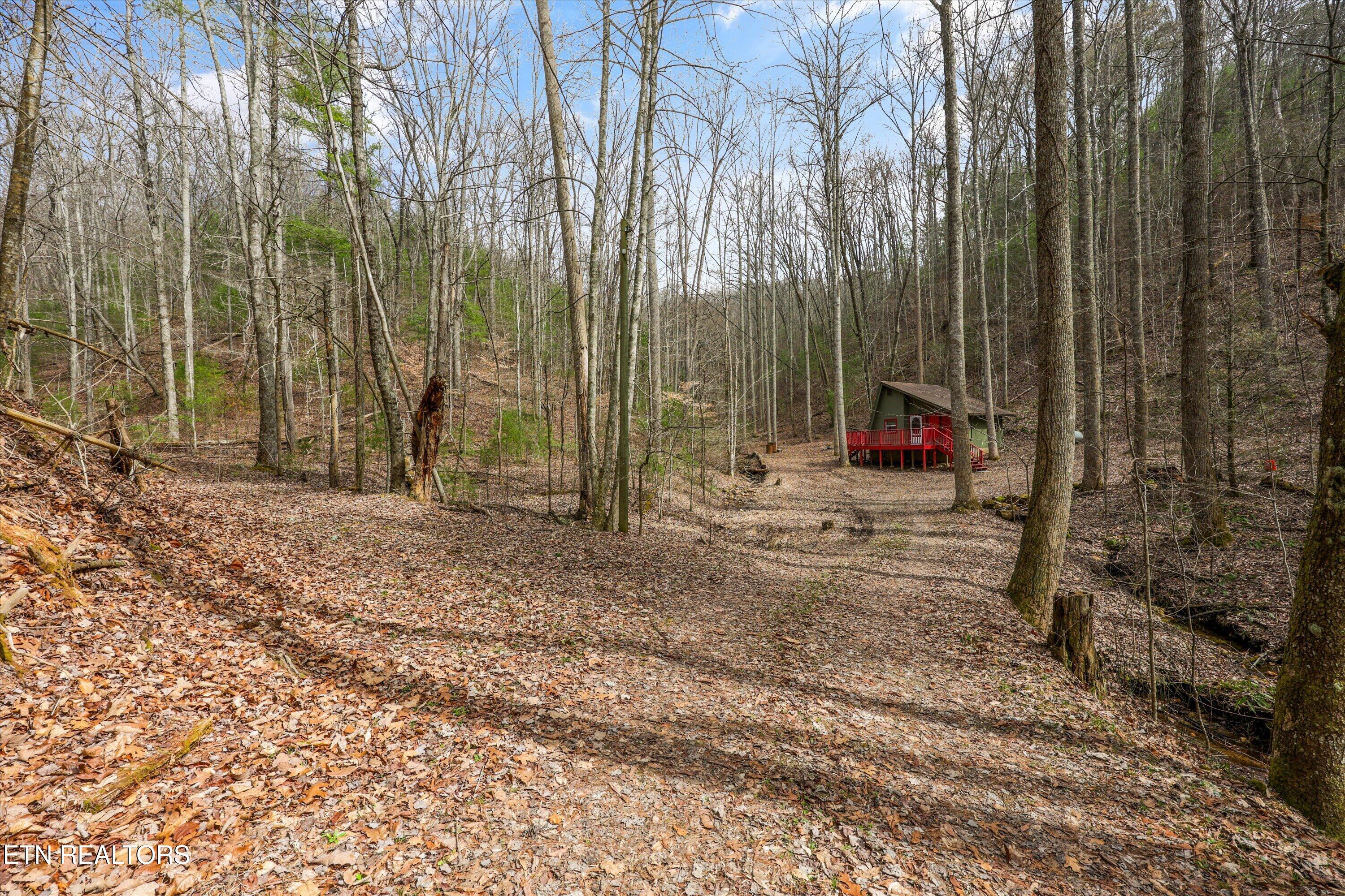 314 Caney Branch Road Tellico Plains TN 37385
