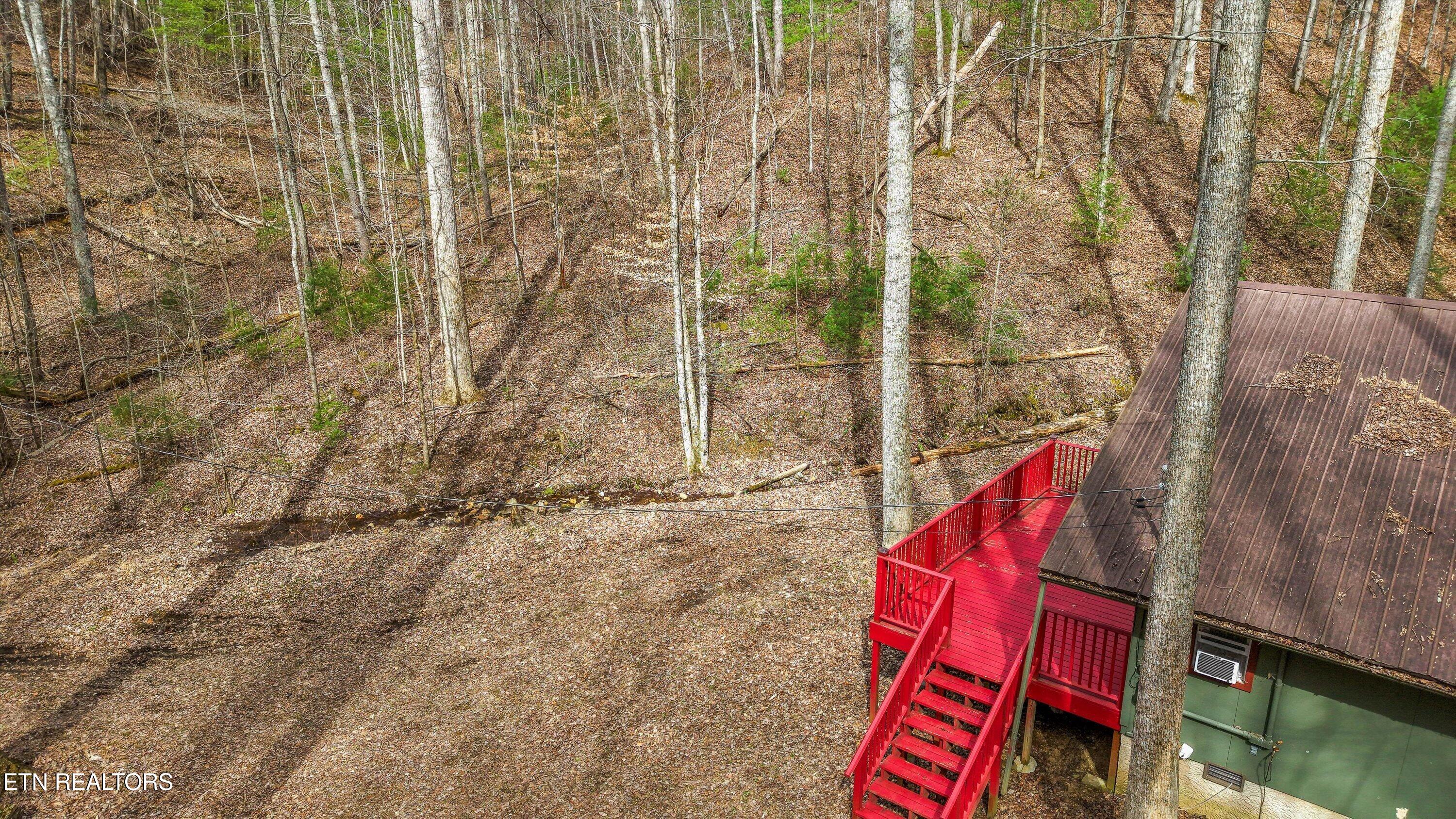 314 Caney Branch Road Tellico Plains TN 37385