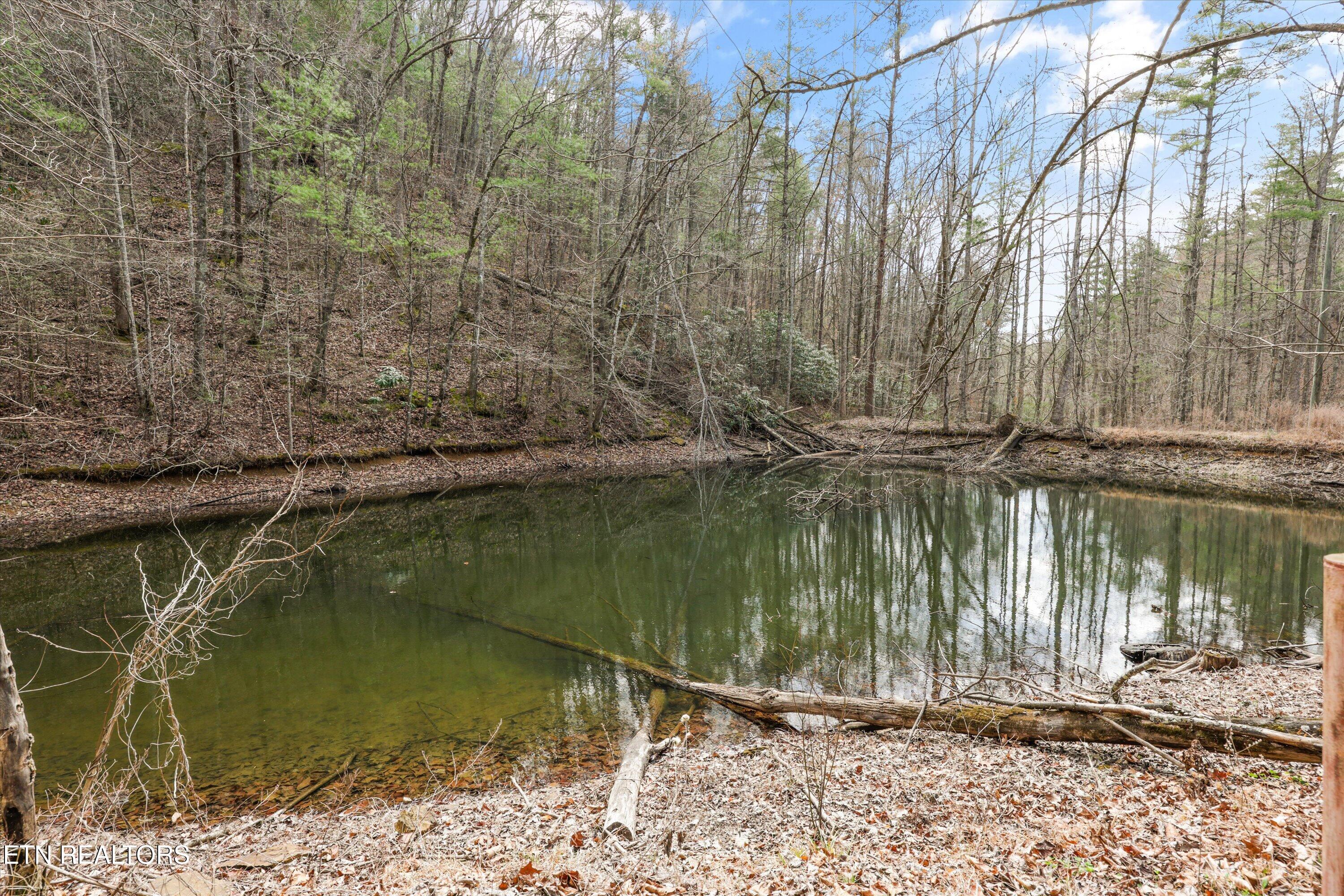 314 Caney Branch Road Tellico Plains TN 37385