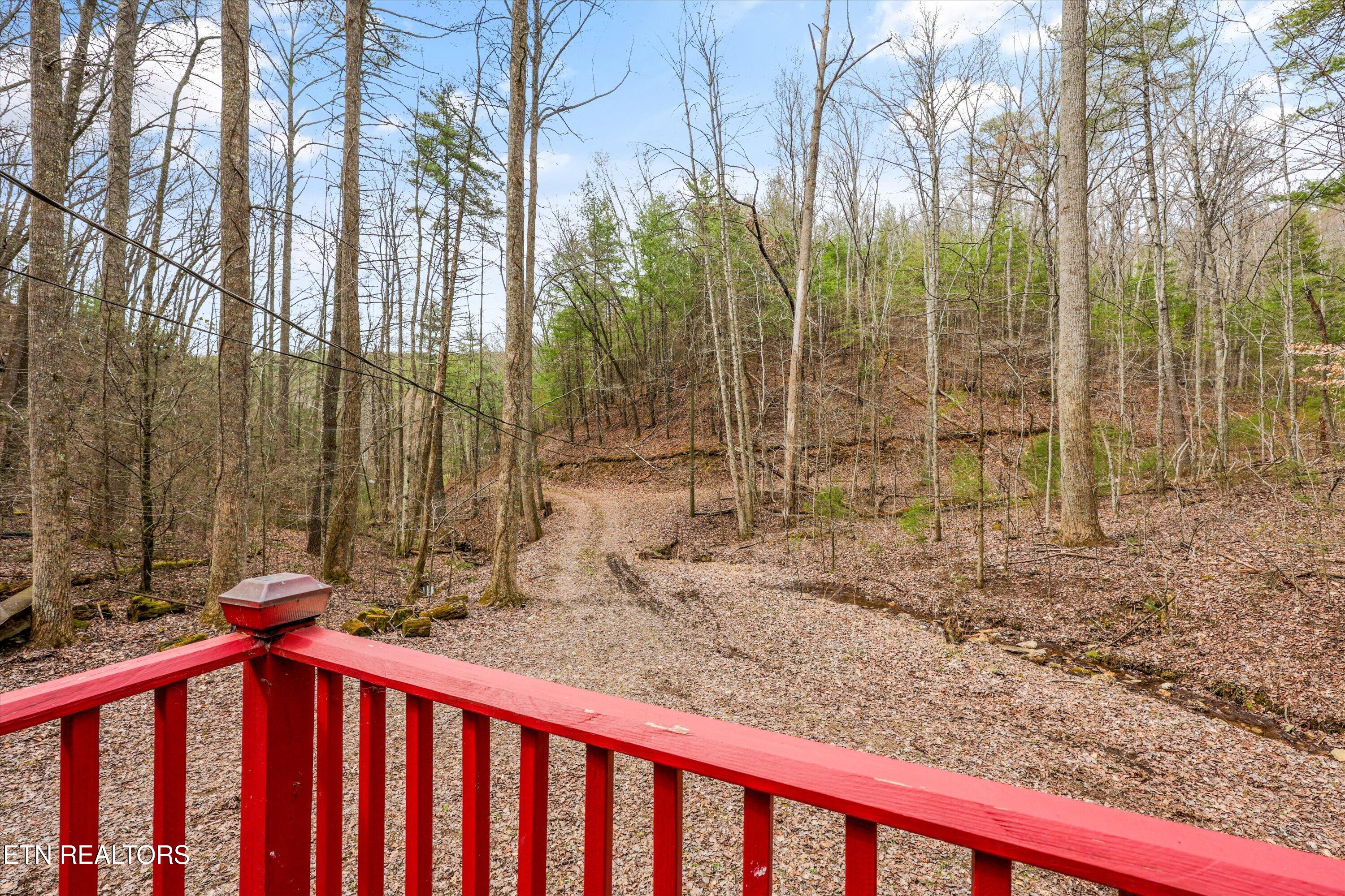 314 Caney Branch Road Tellico Plains TN 37385