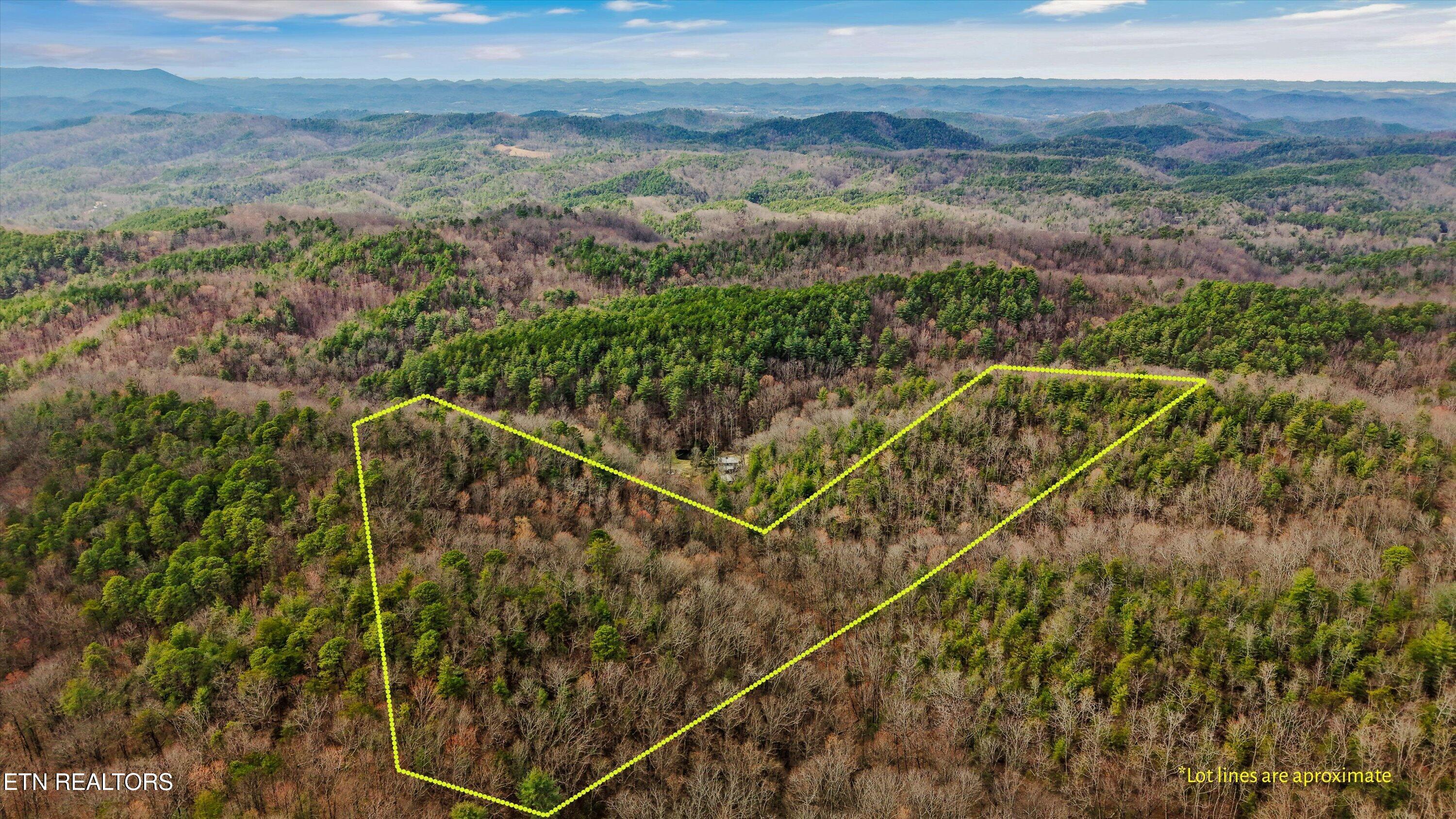 314 Caney Branch Road Tellico Plains TN 37385