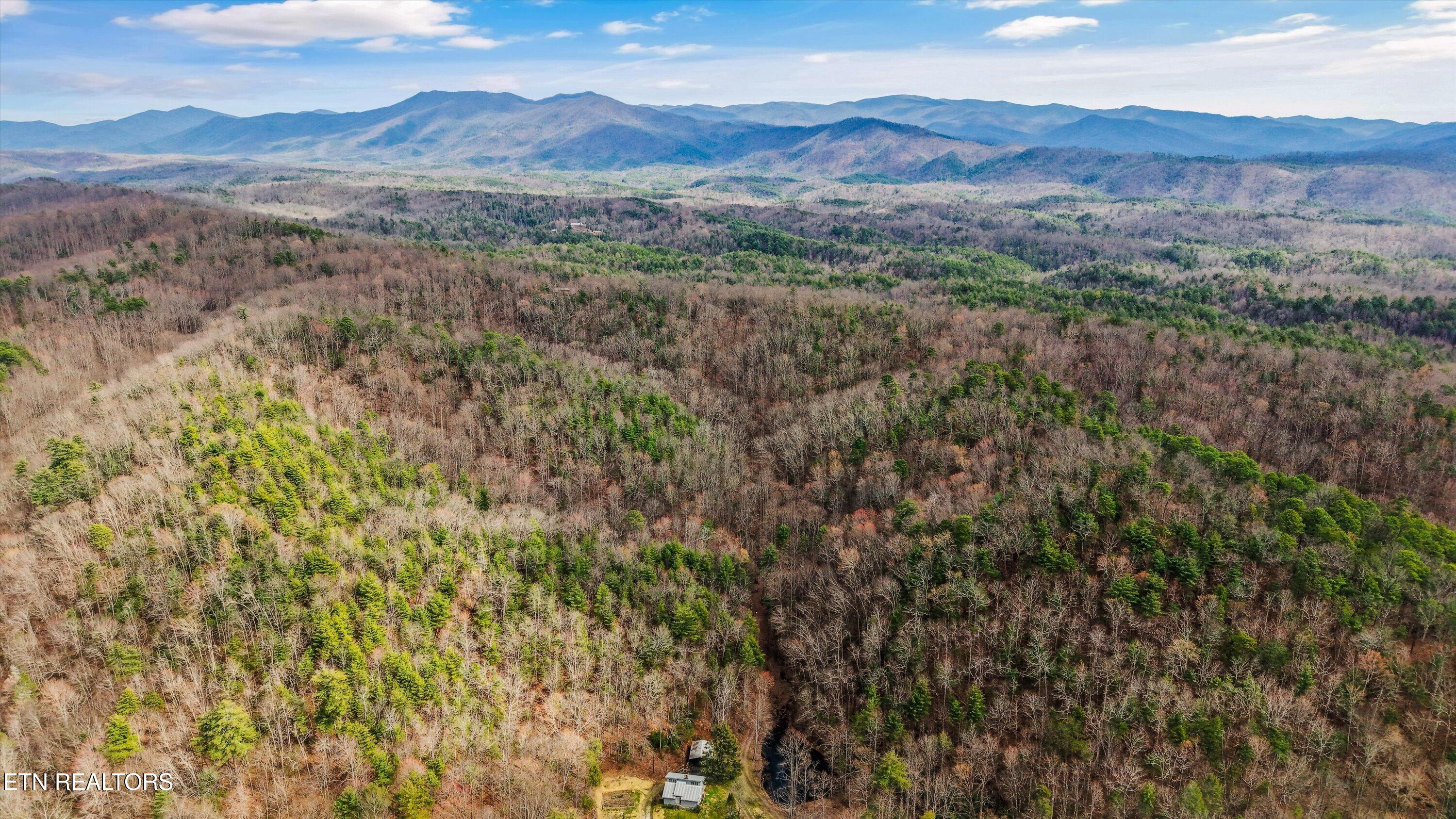 314 Caney Branch Road Tellico Plains TN 37385