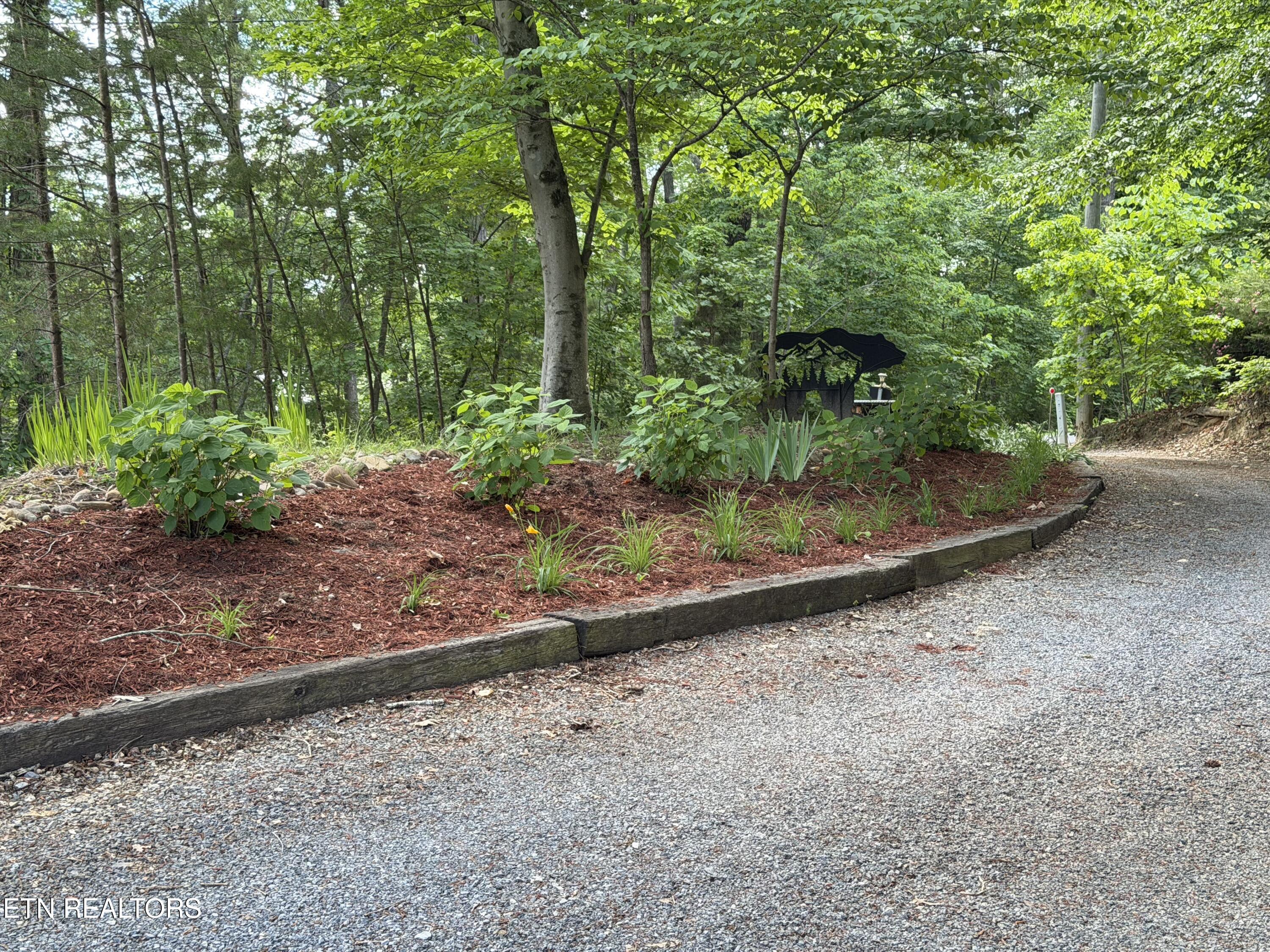 1910 Laramie Trail Dandridge TN 37725