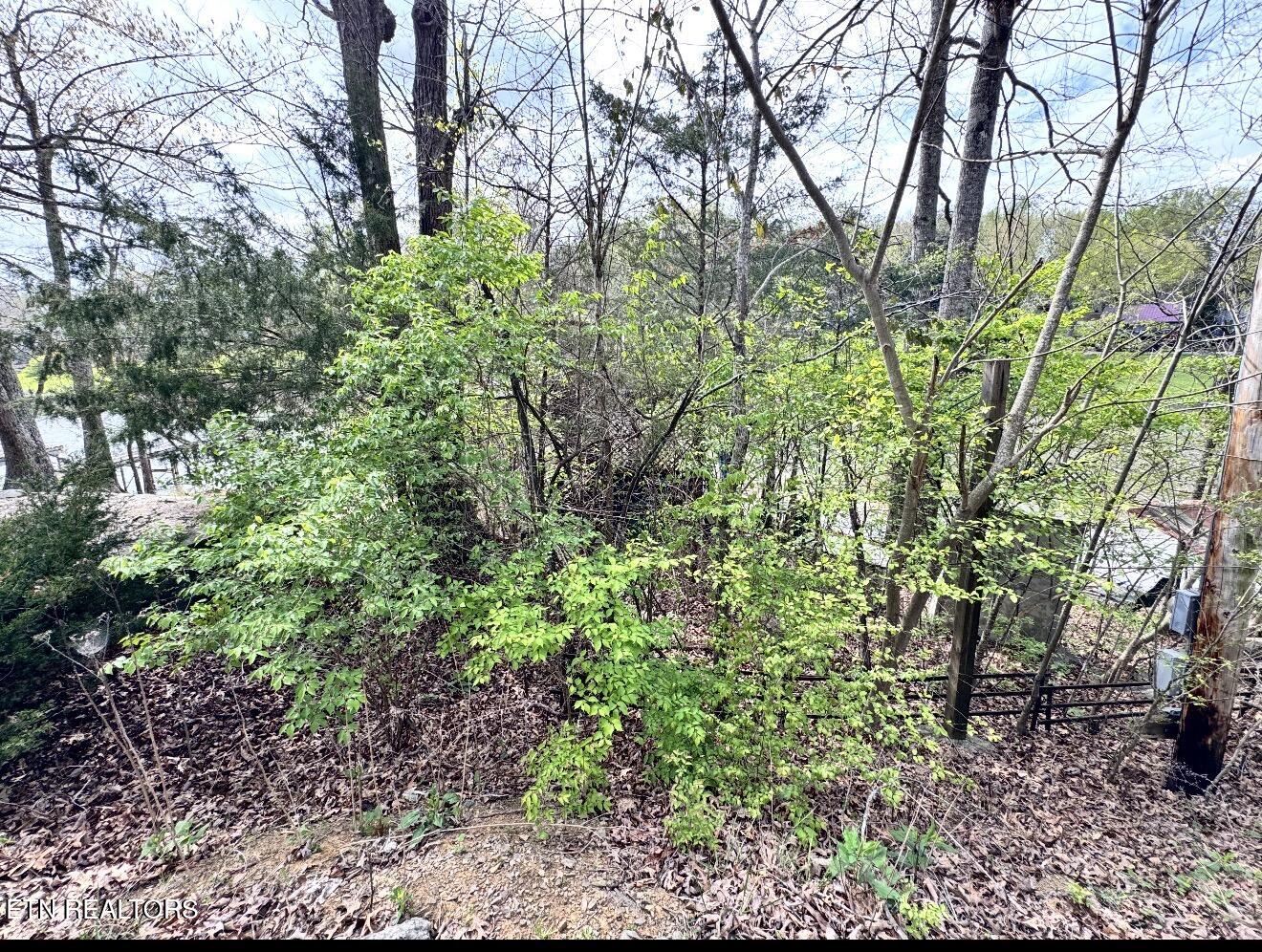 8833 Cove Point Lane Knoxville TN 37922