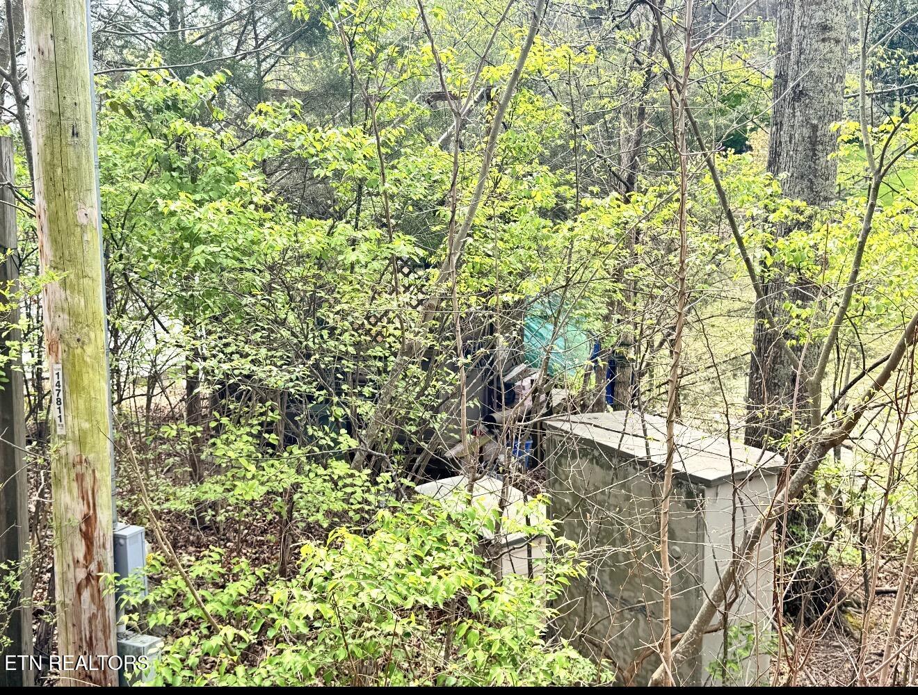 8833 Cove Point Lane Knoxville TN 37922