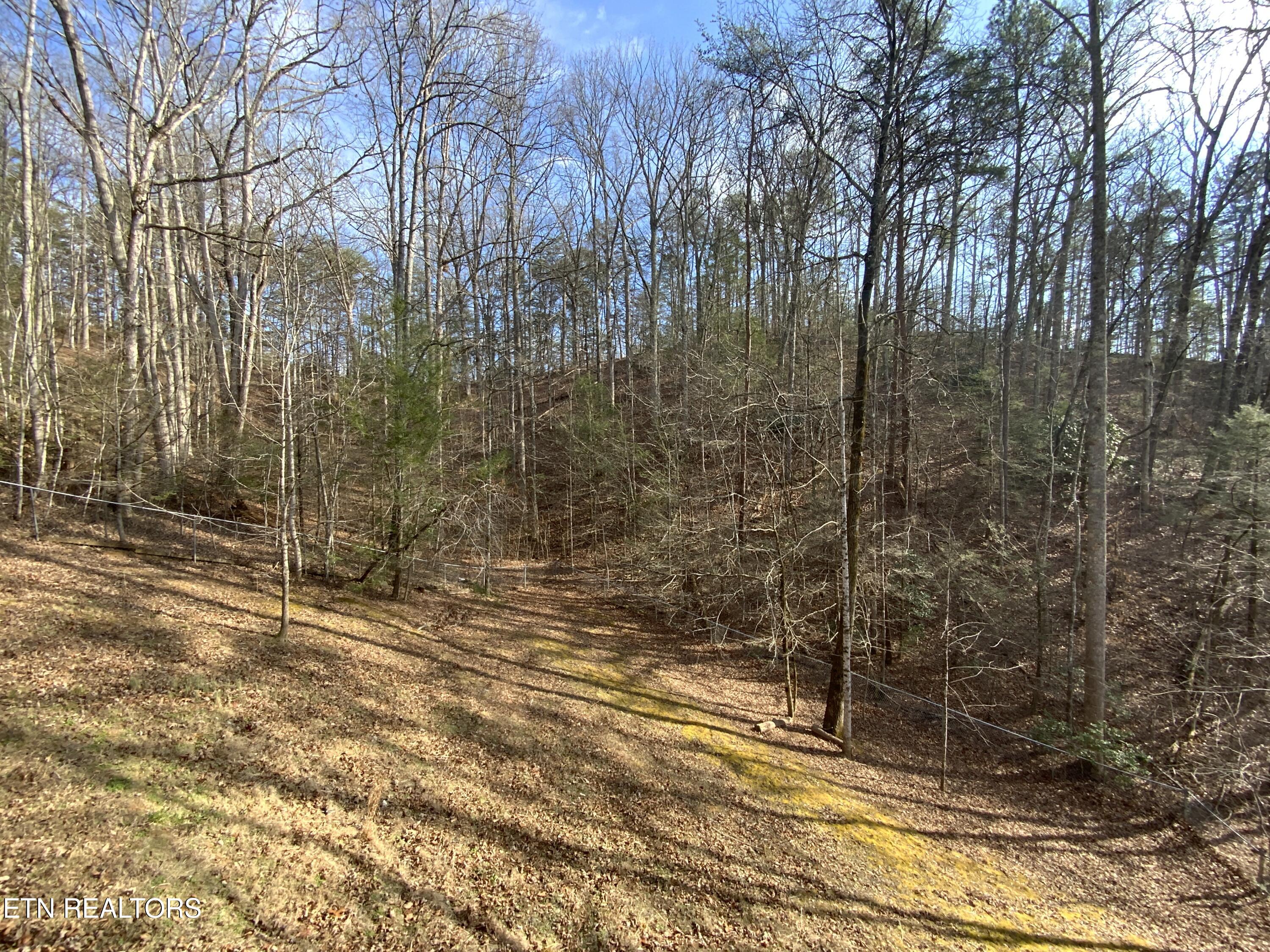 2034 Bales Way Sevierville TN 37876