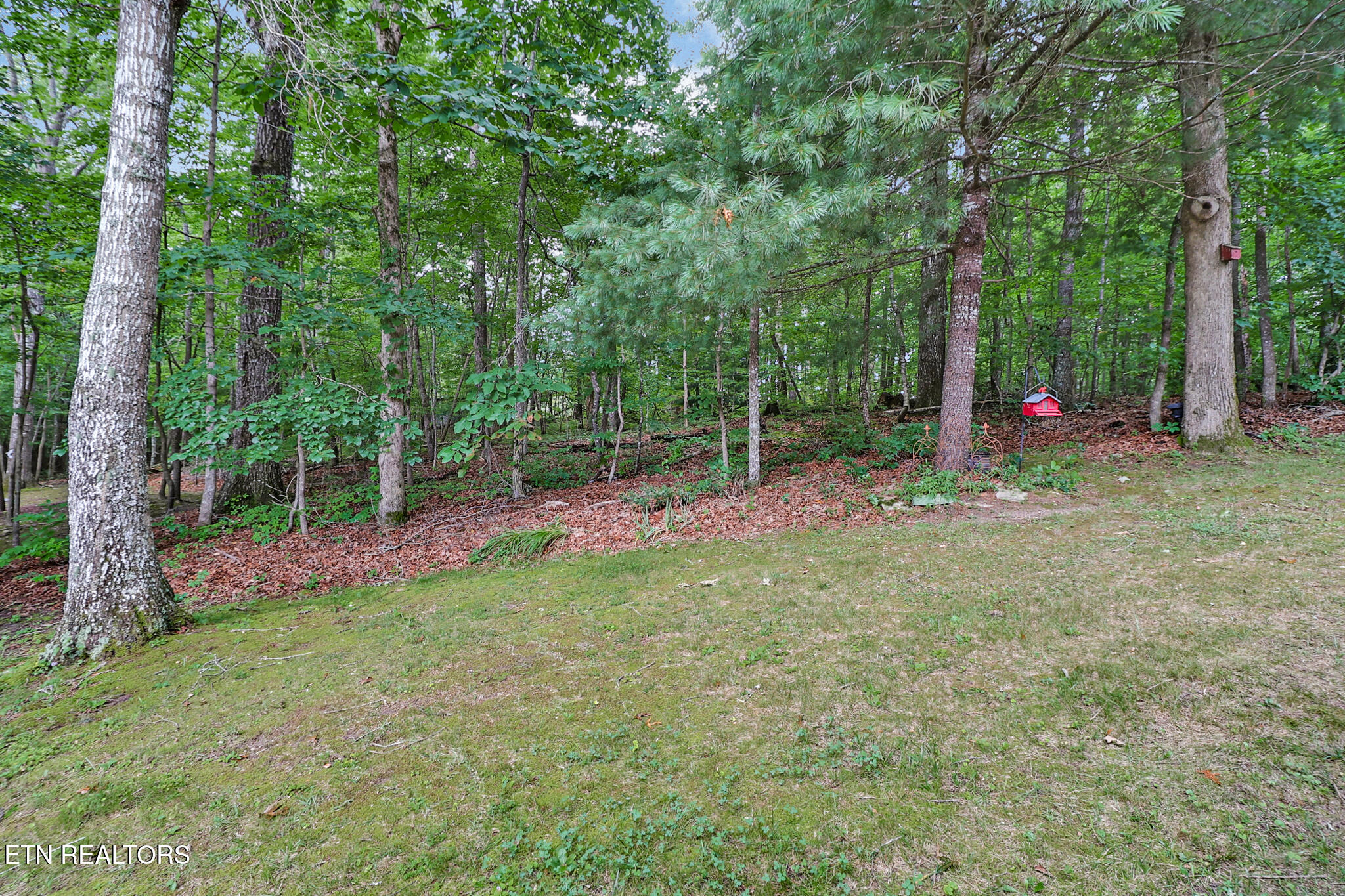 13 Dalton Terrace Crossville TN 38558