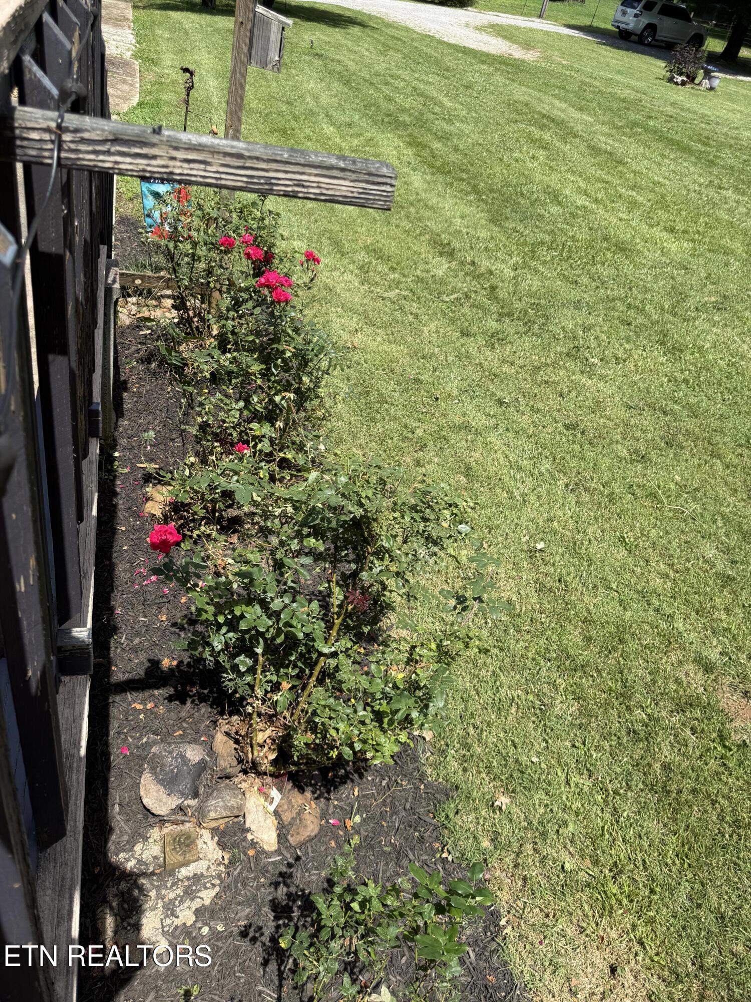 4544 N Wildwood Road Maryville TN 37804