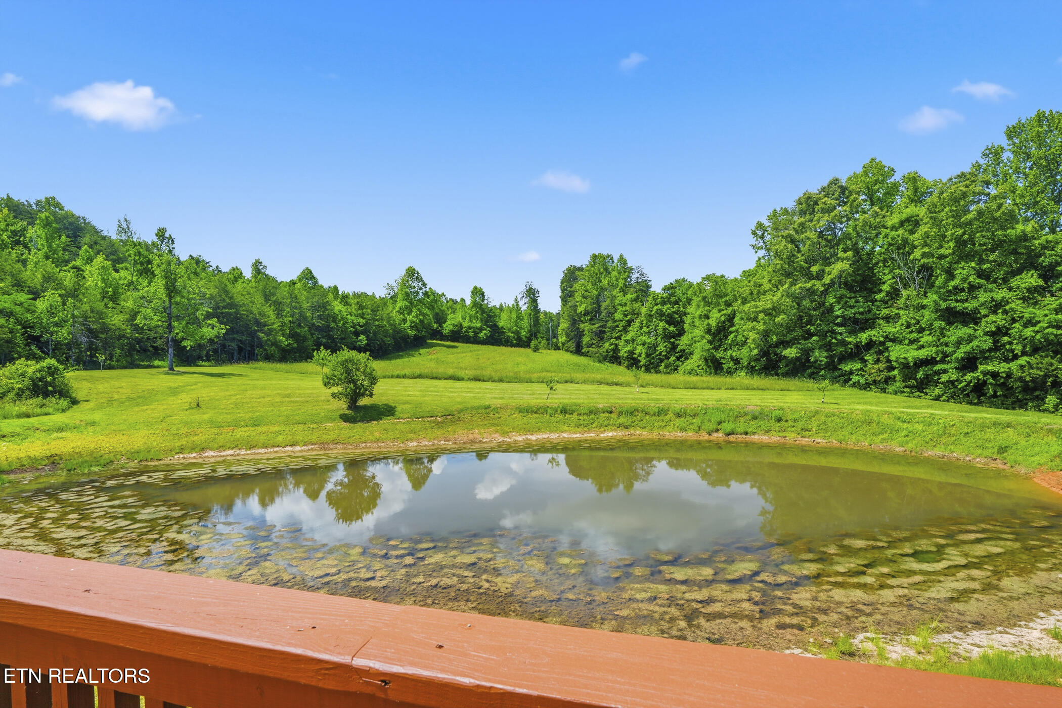 220 Three Point Road Vonore TN 37885
