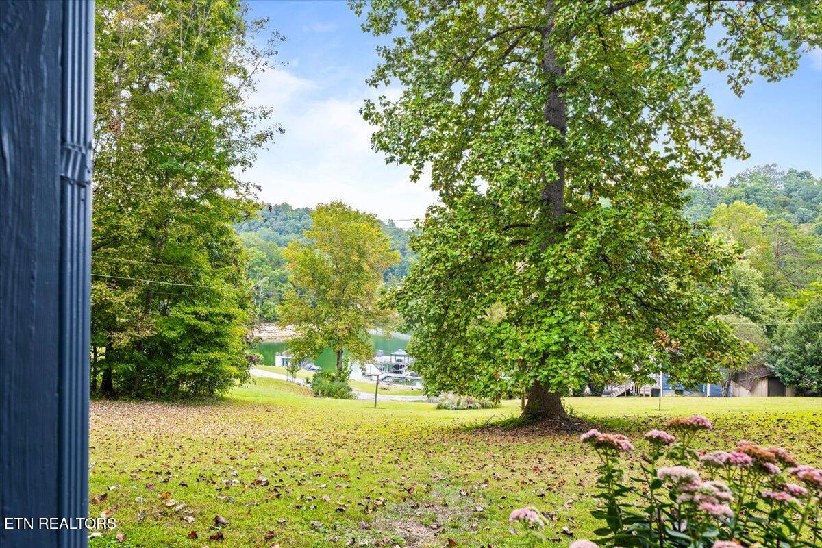 398 Perry Smith Lane Caryville TN 37714
