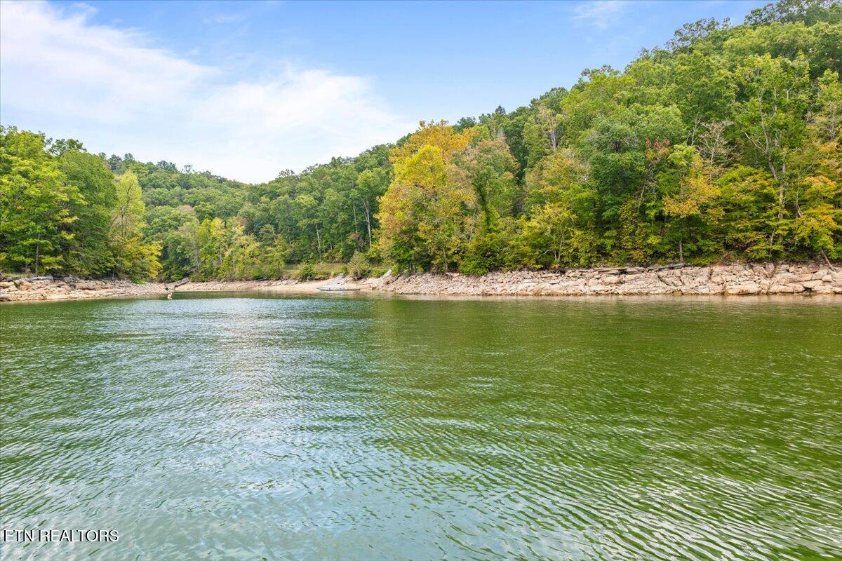 398 Perry Smith Lane Caryville TN 37714