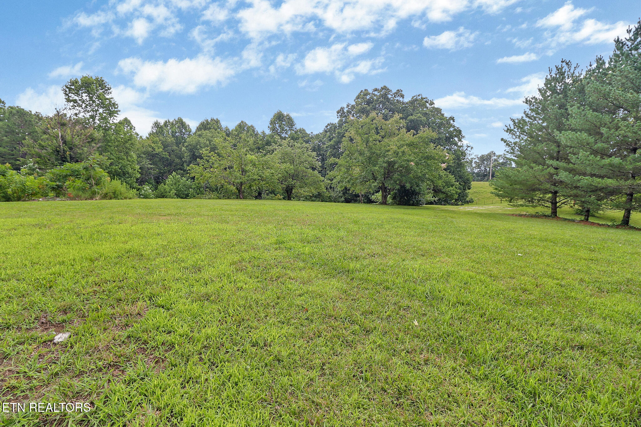 155 Billy Ridge Court Jamestown TN 38556