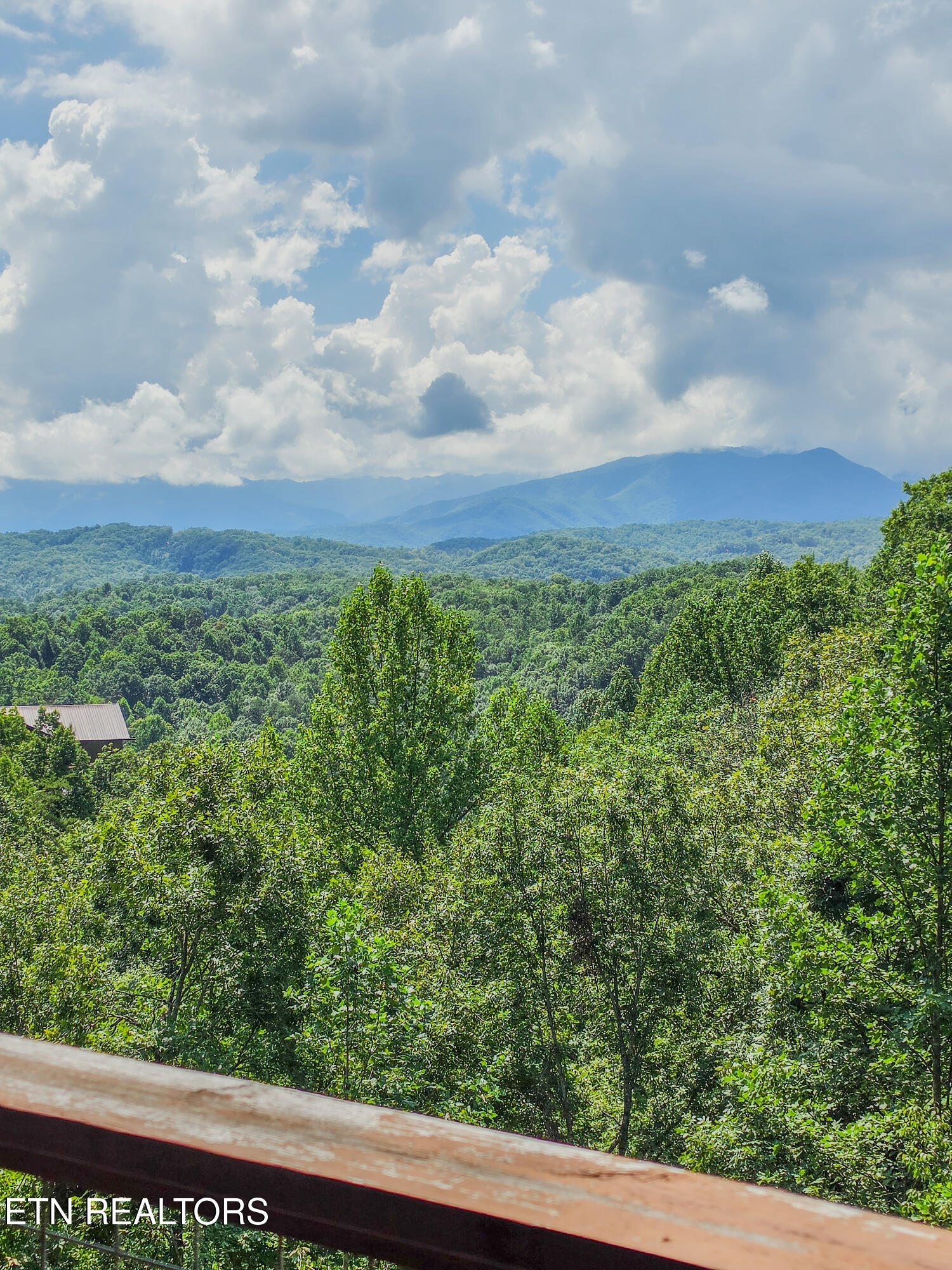 1959 Blackthorn Trail Sevierville TN 37876
