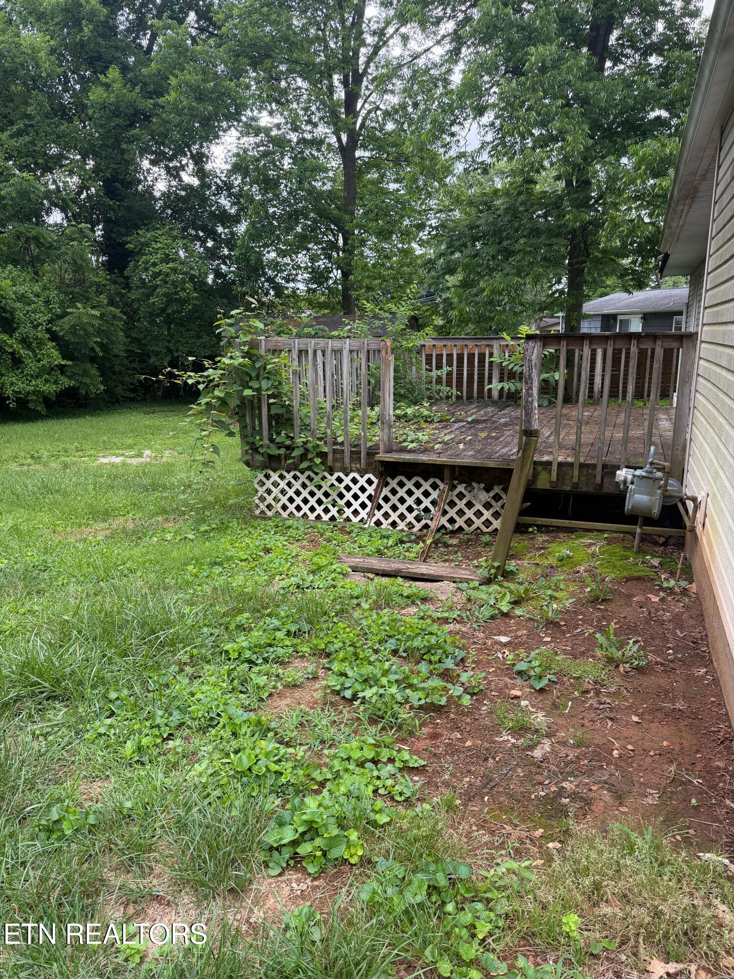 3215 Lineback Road Knoxville TN 37921