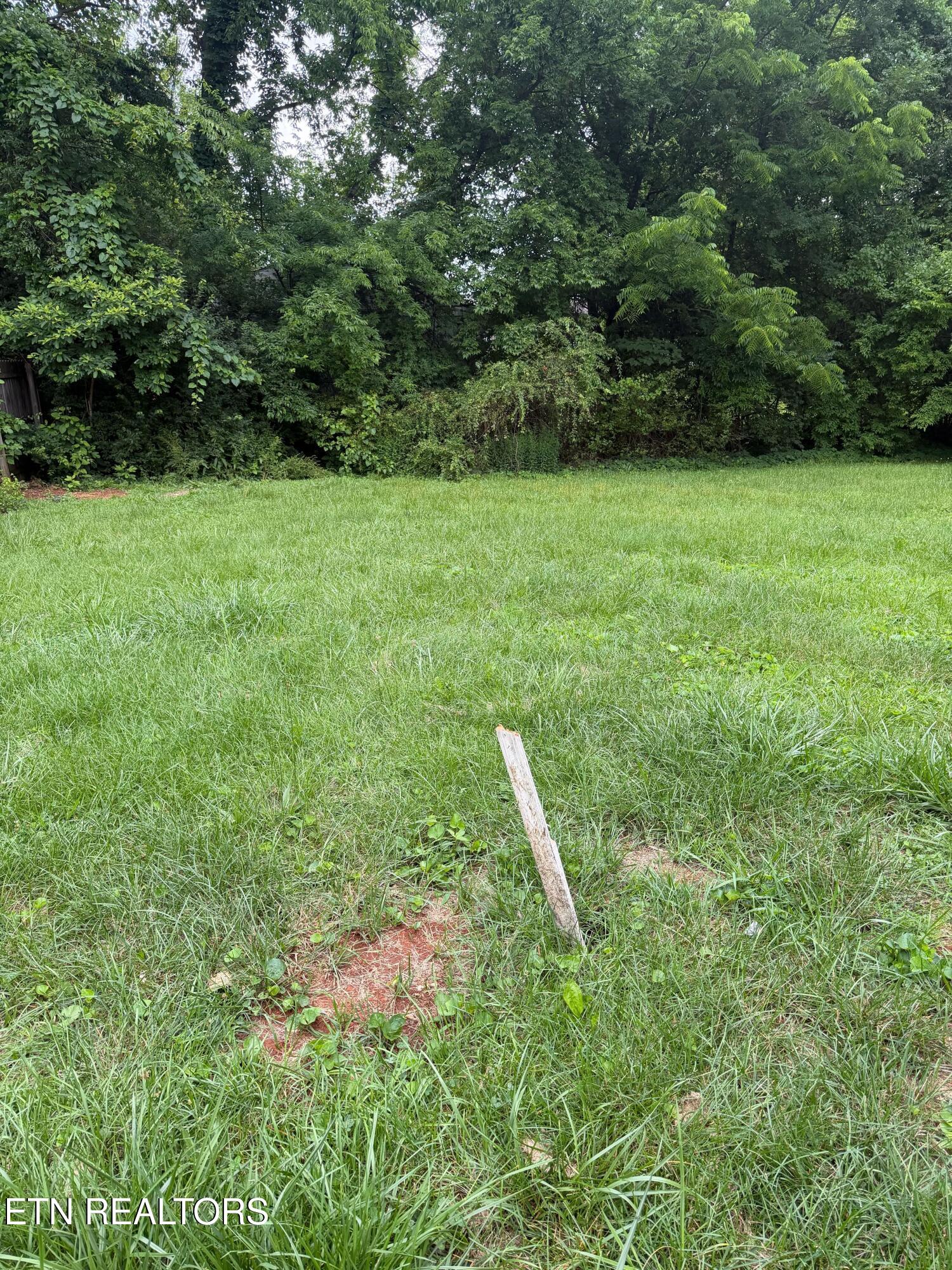 3215 Lineback Road Knoxville TN 37921