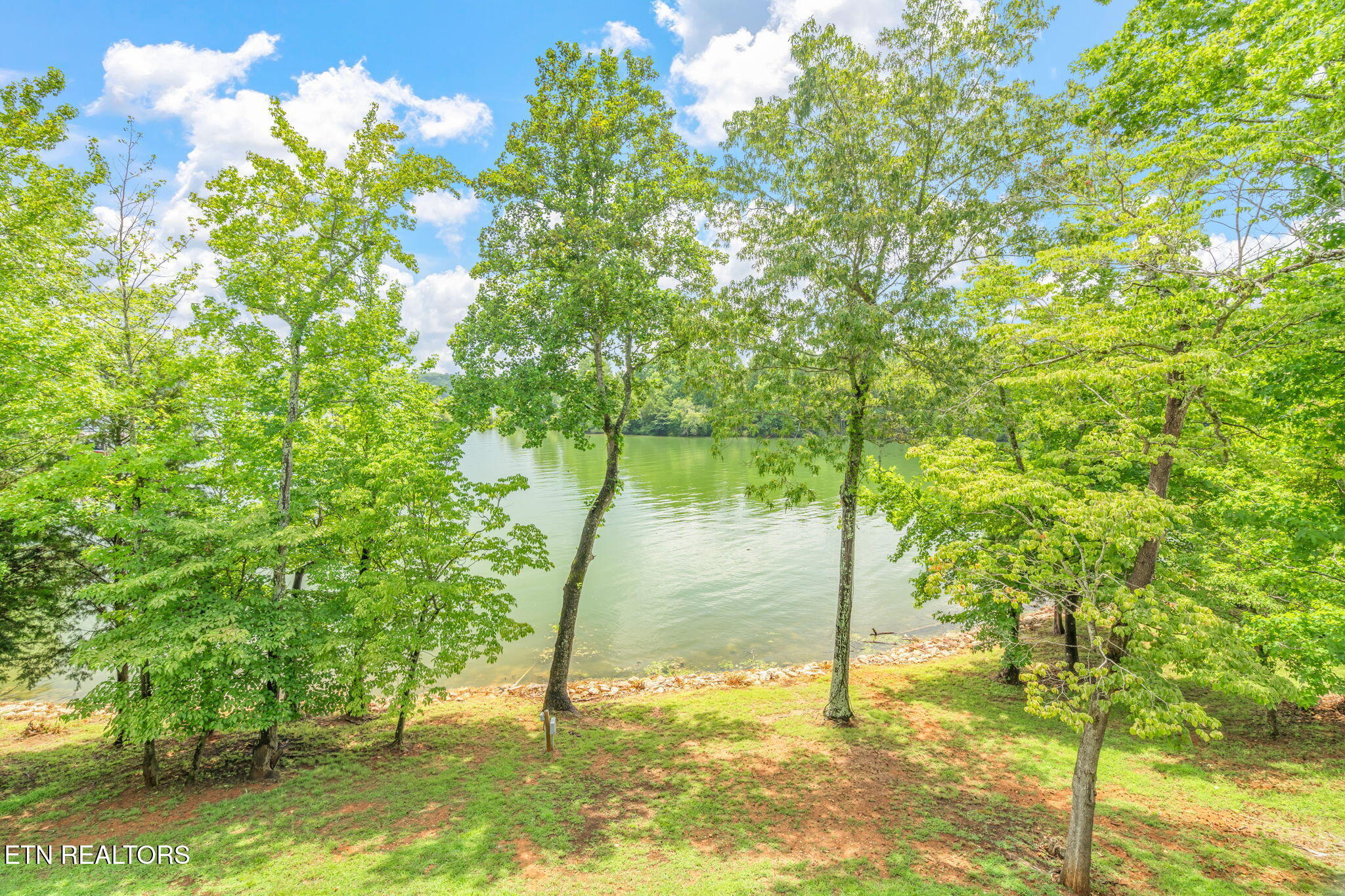 111 Crane Pointe Rockwood TN 37854