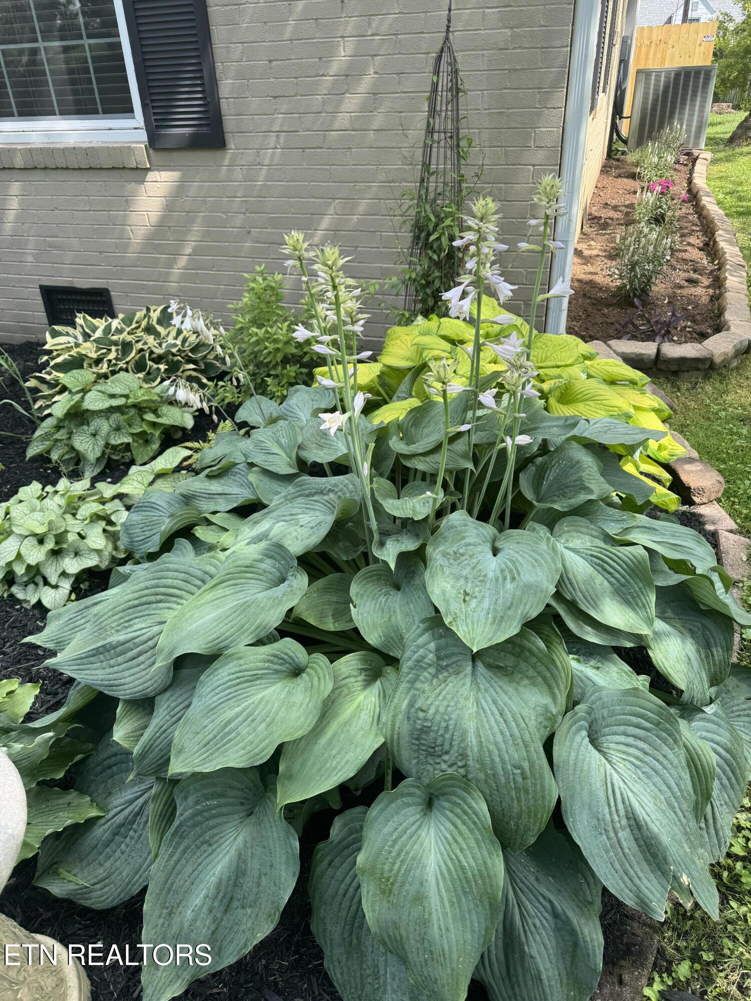 2942 Fountain Park Boulevard Knoxville TN 37917