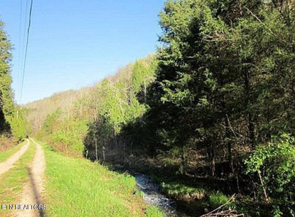 360 Spurlock Hollow Lane Gainesboro TN 38562