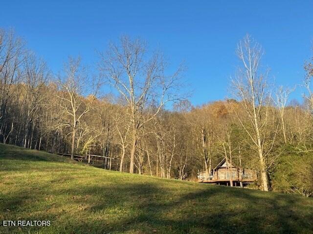 360 Spurlock Hollow Lane Gainesboro TN 38562