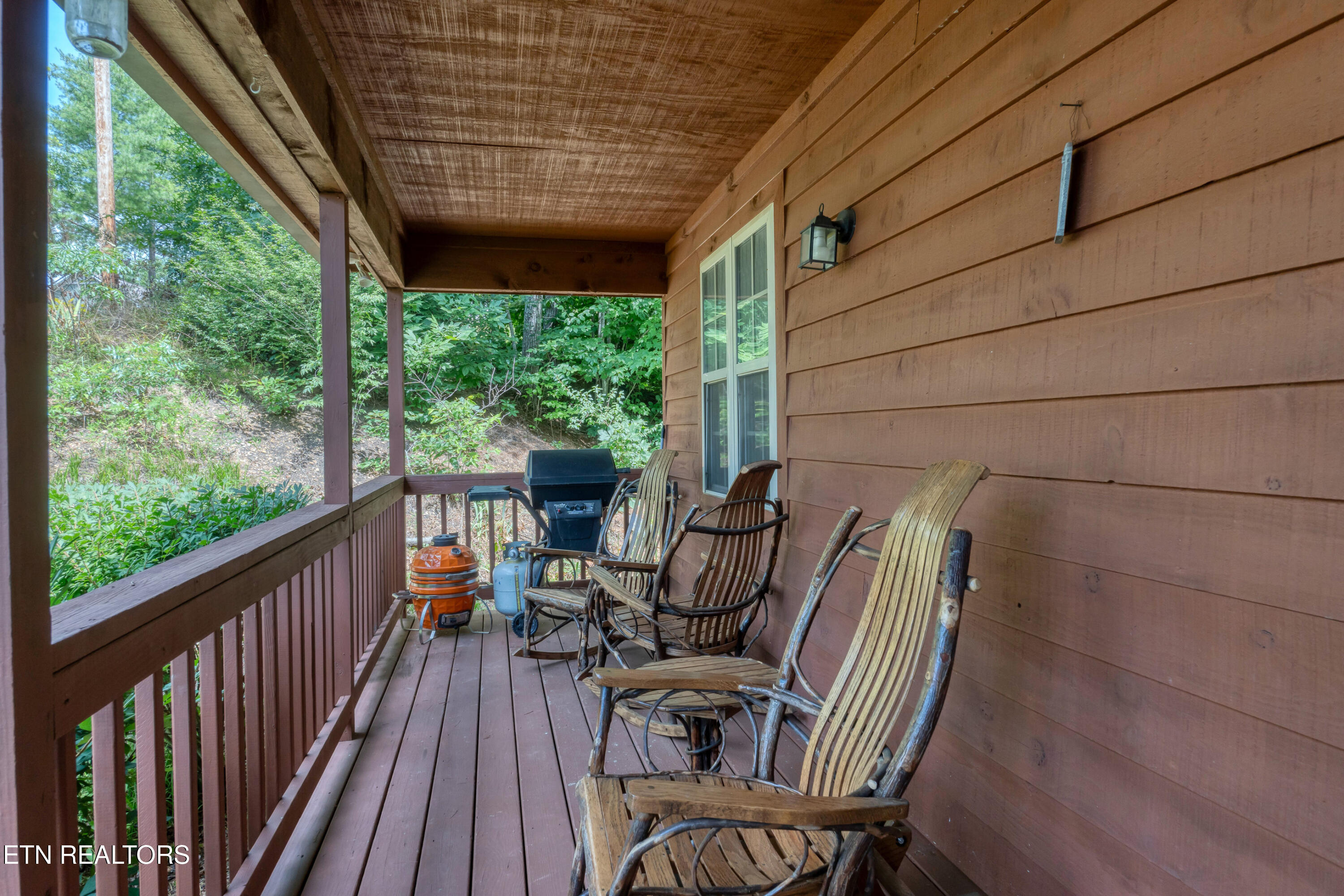 233 Ace Gap Road Townsend TN 37882