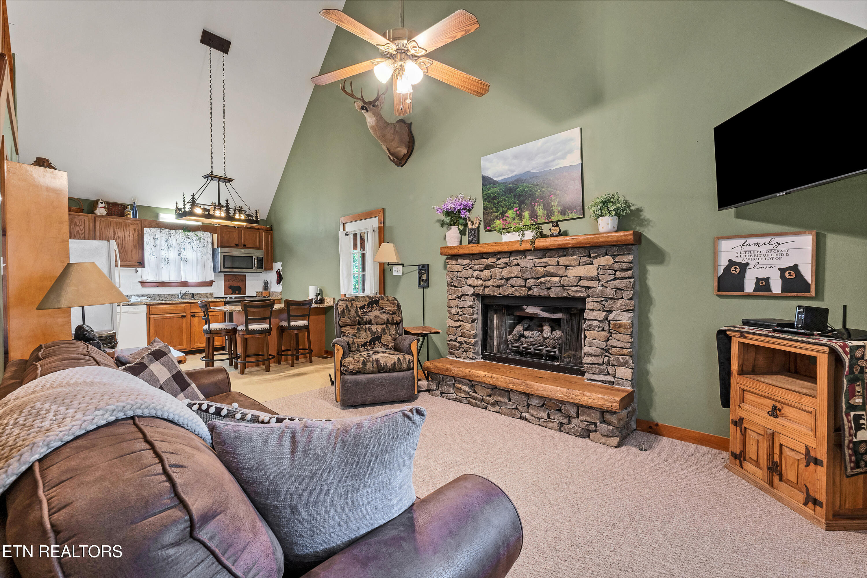 233 Ace Gap Road Townsend TN 37882