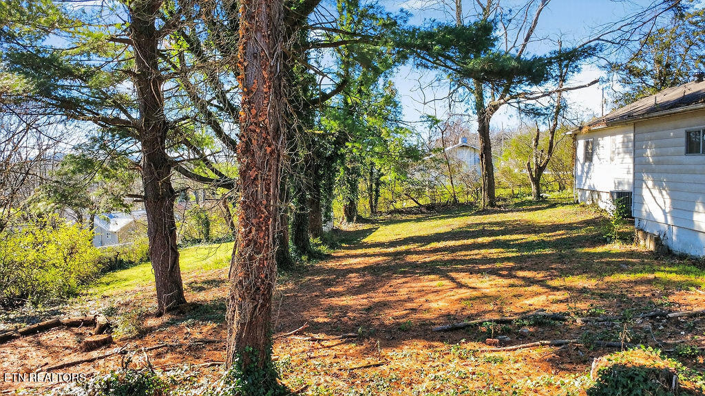 109 E Pasadena Road Oak Ridge TN 37830