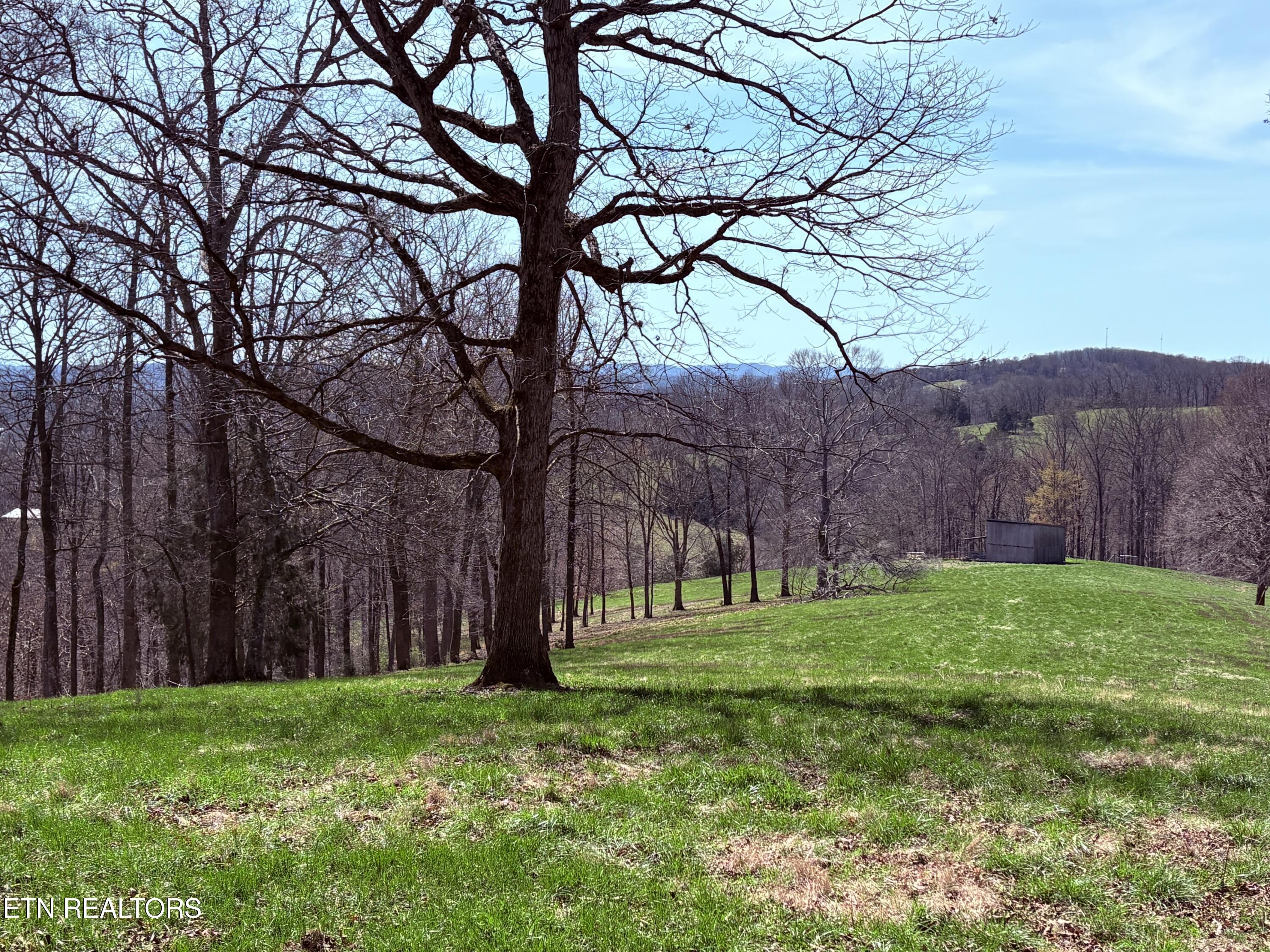 395 Wolfe Road Luttrell TN 37779