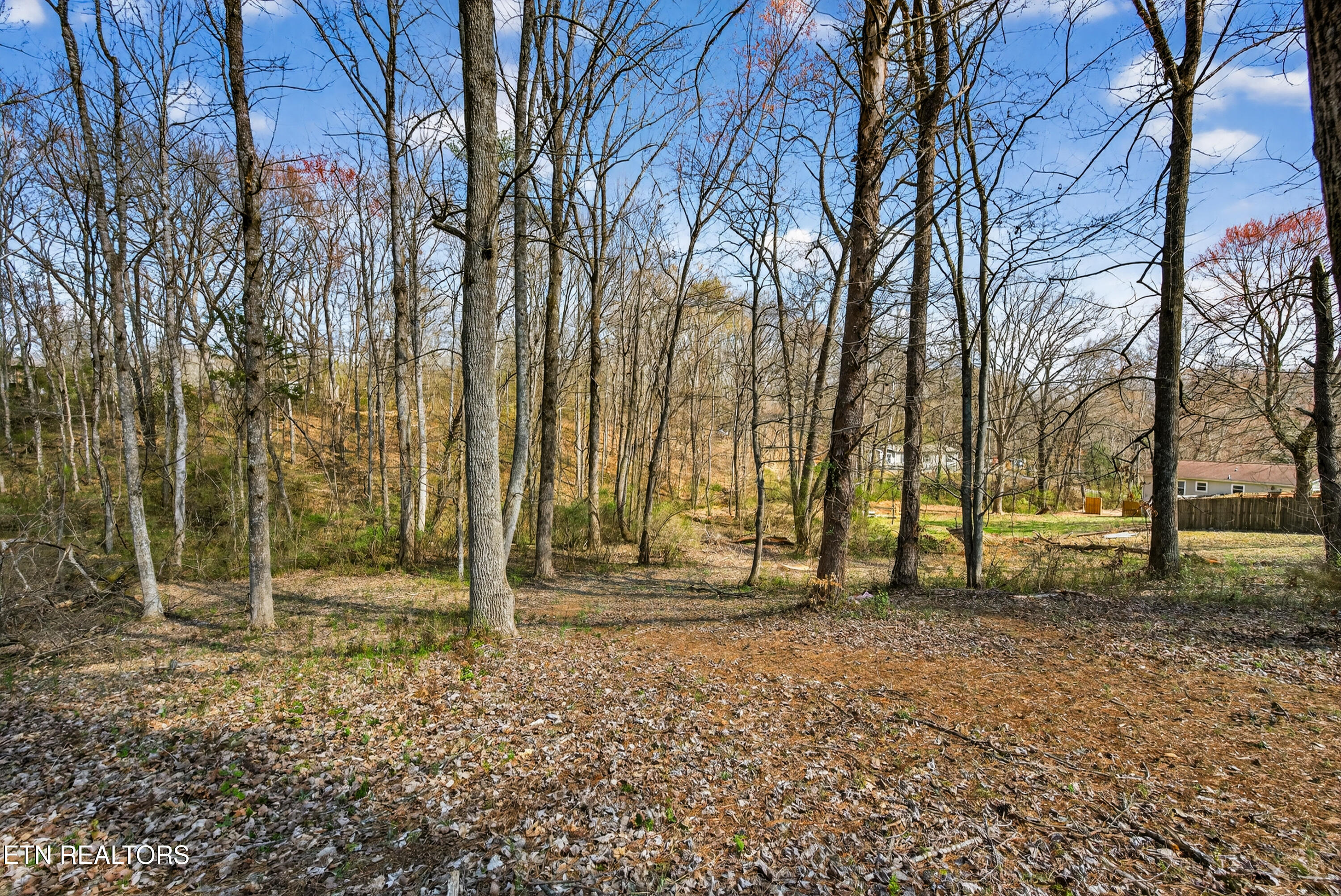 1205 Hoss Road Powell TN 37849