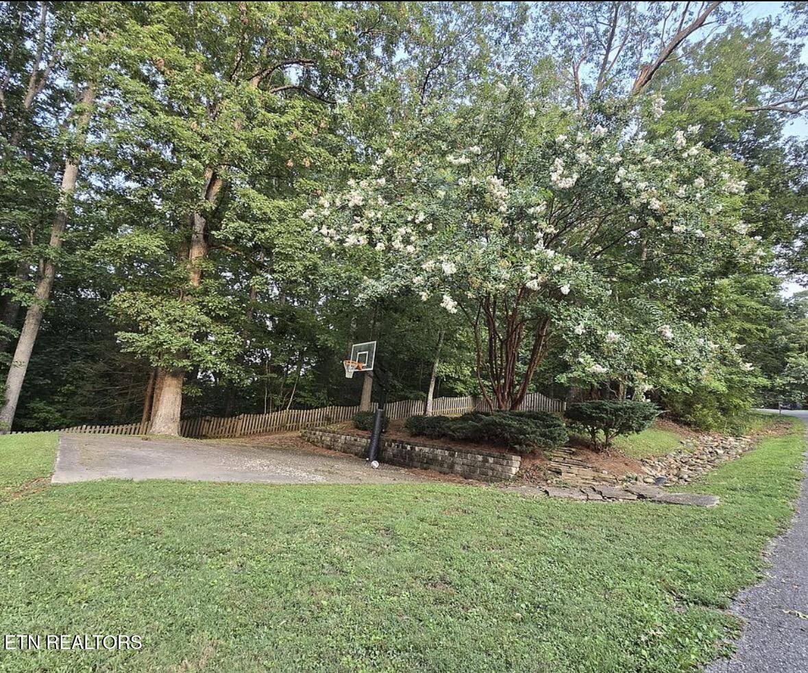 1304 N. Shorewood Lane Caryville TN 37714
