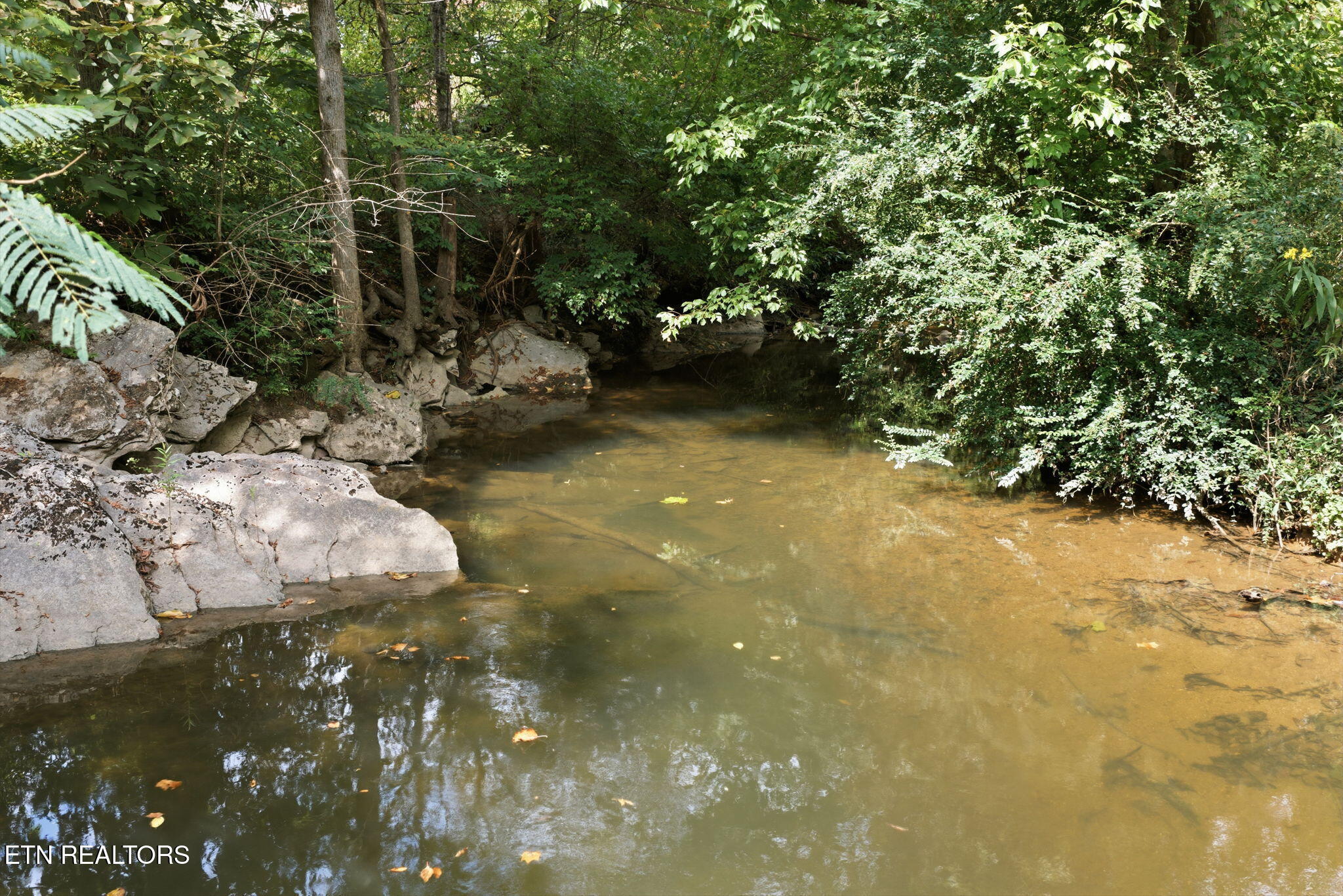 216 Sweet Gum Lane Oak Ridge TN 37830