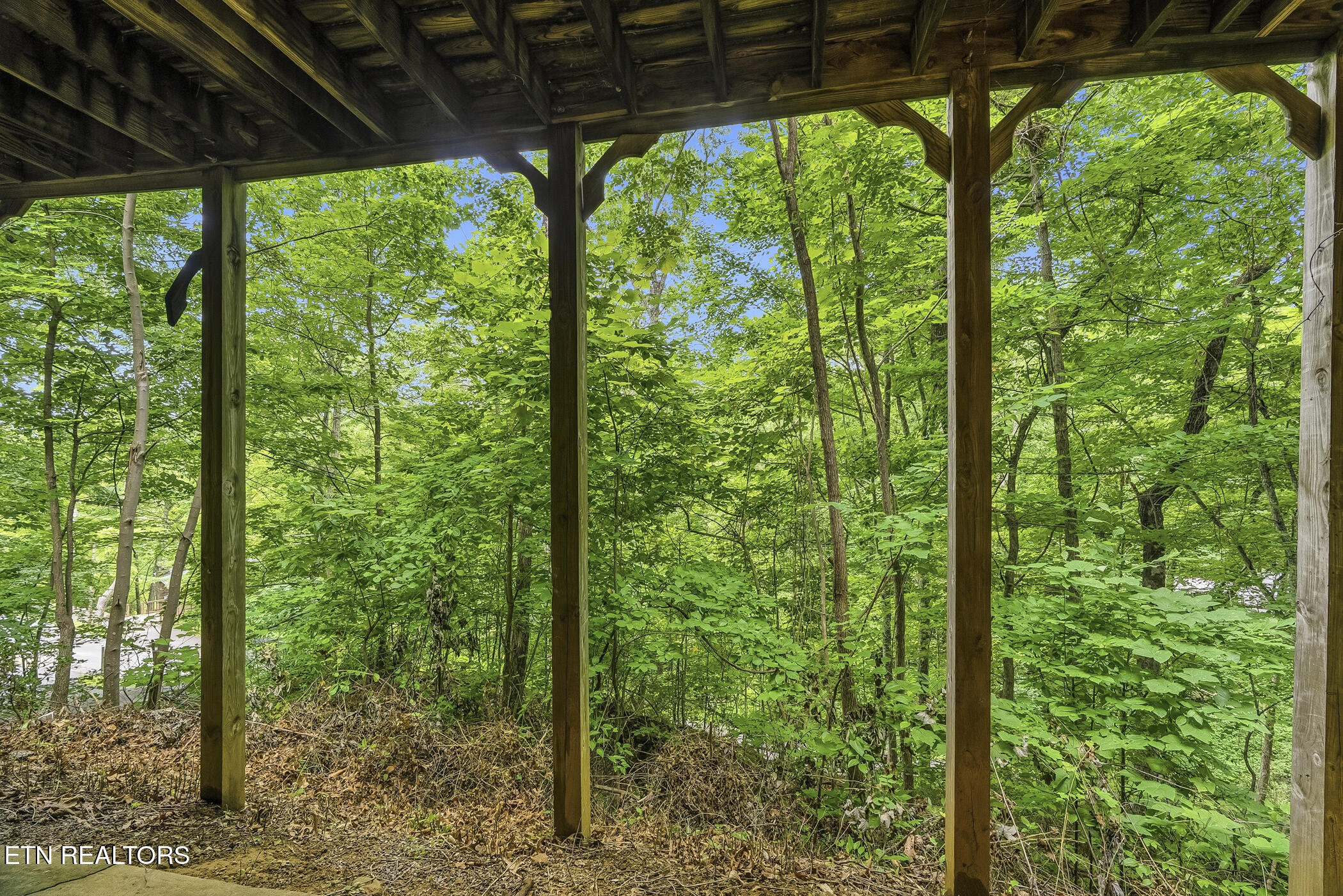 1068 Lower Alpine Way Gatlinburg TN 37738