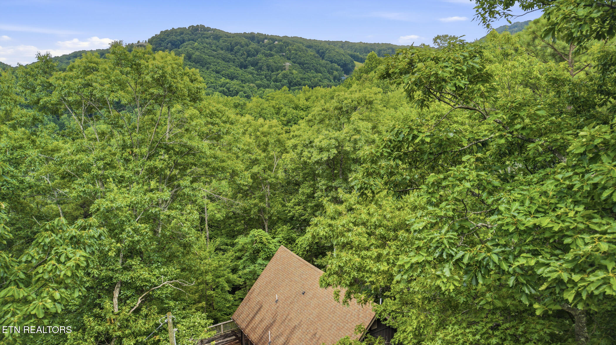 1068 Lower Alpine Way Gatlinburg TN 37738