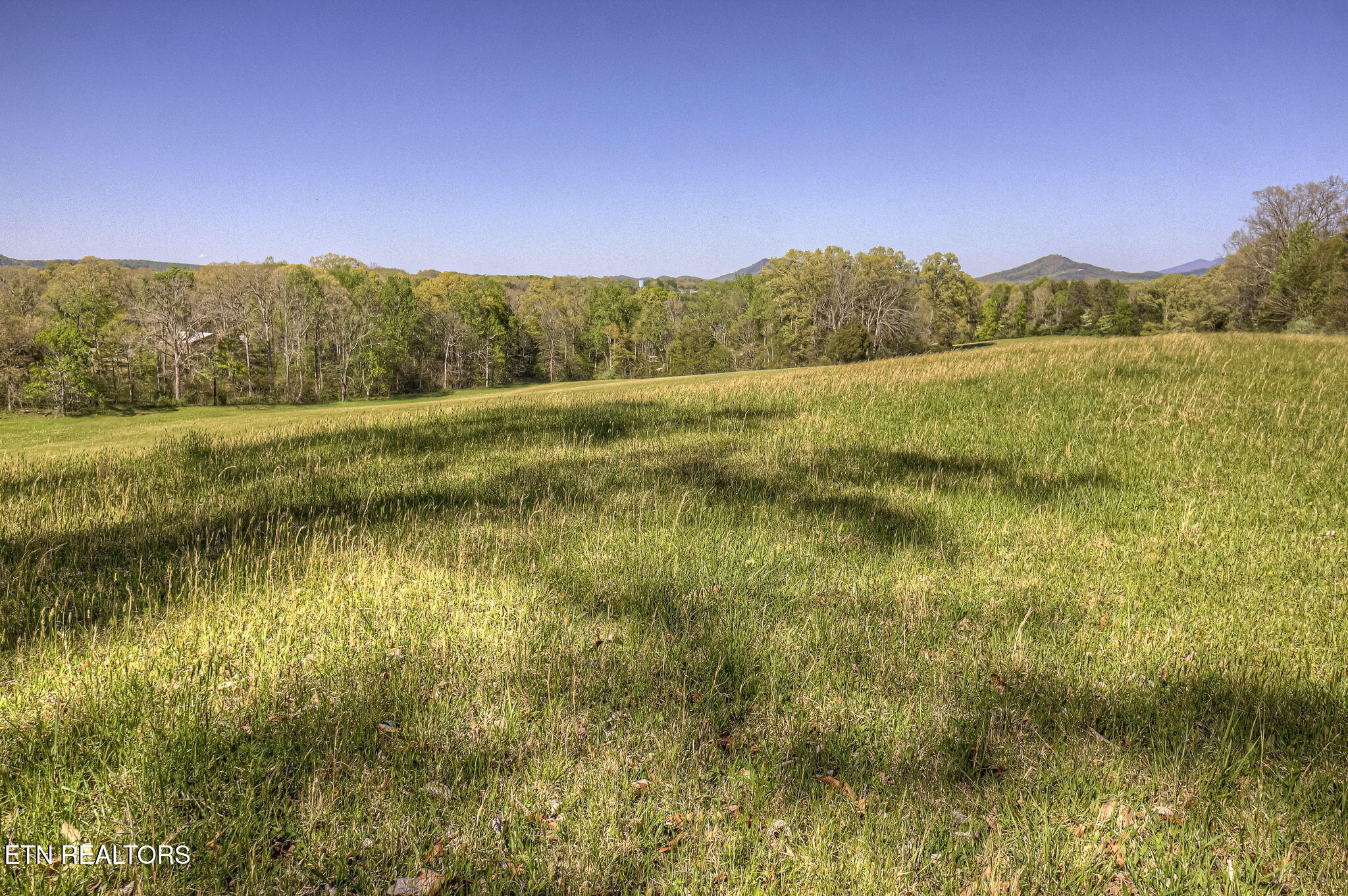285 New Providence Road Tellico Plains TN 37385