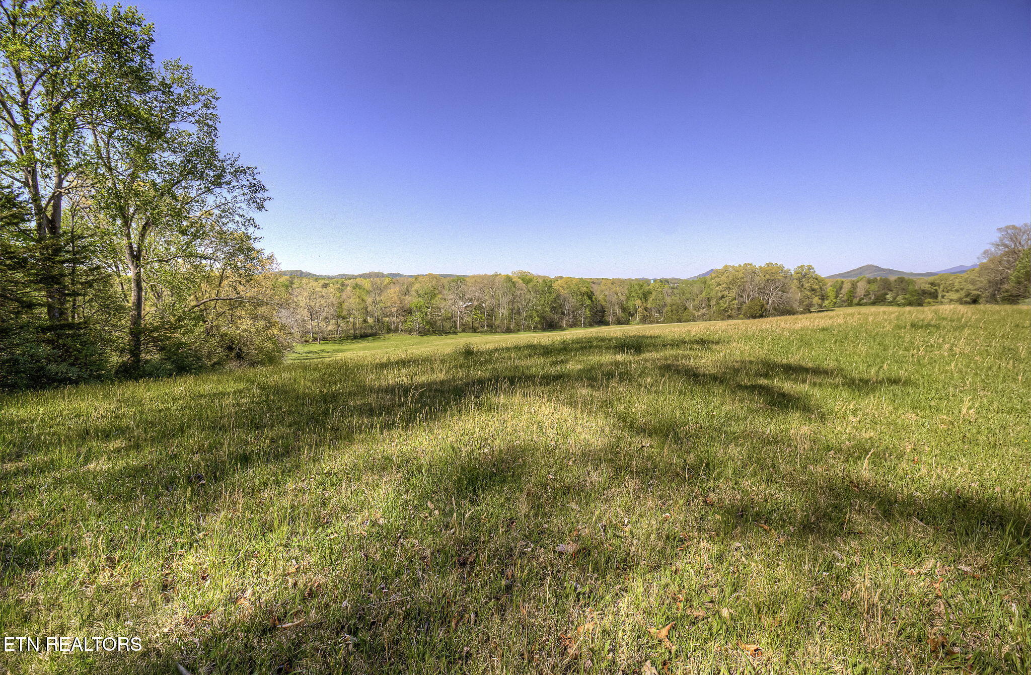 285 New Providence Road Tellico Plains TN 37385
