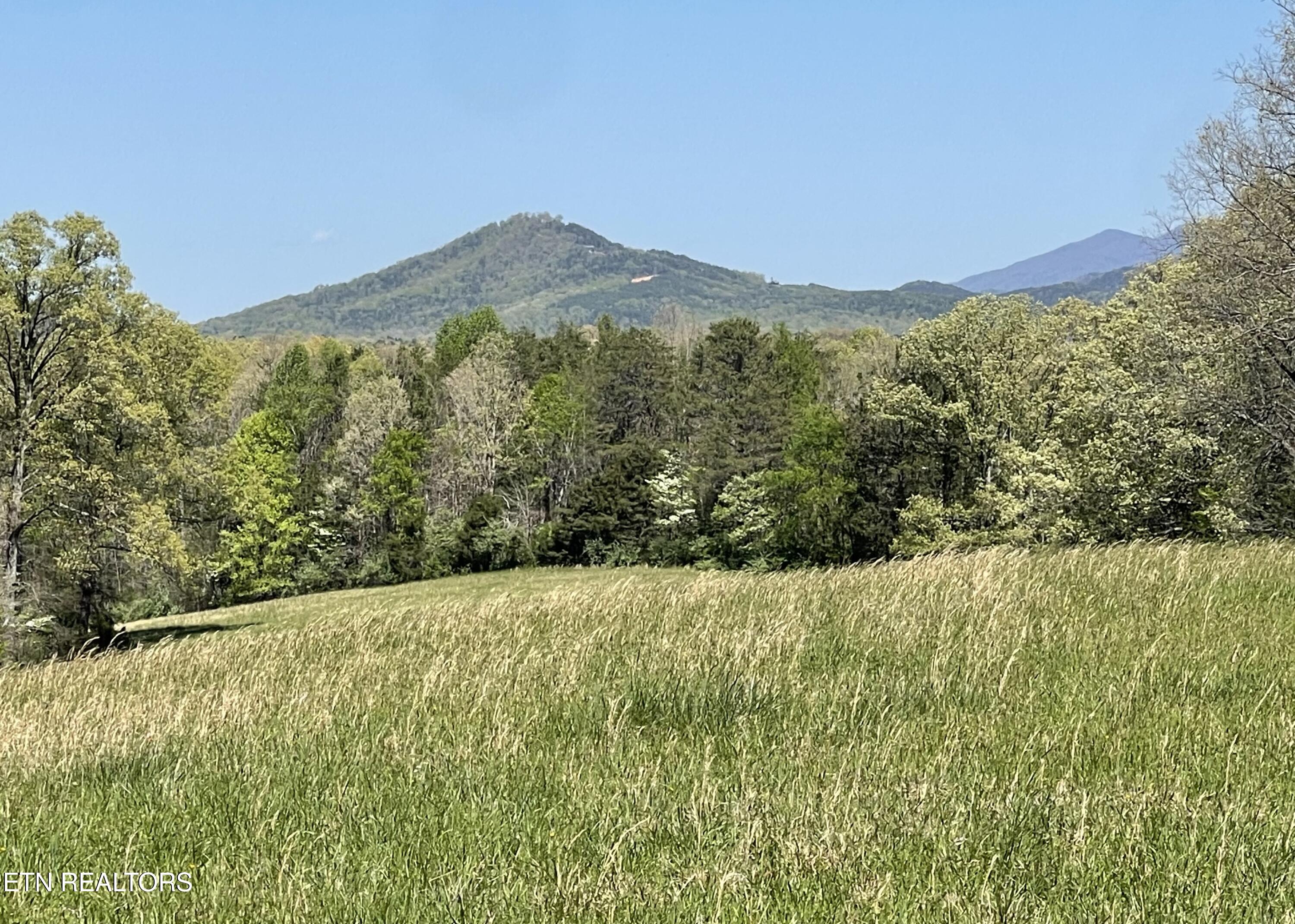 285 New Providence Road Tellico Plains TN 37385