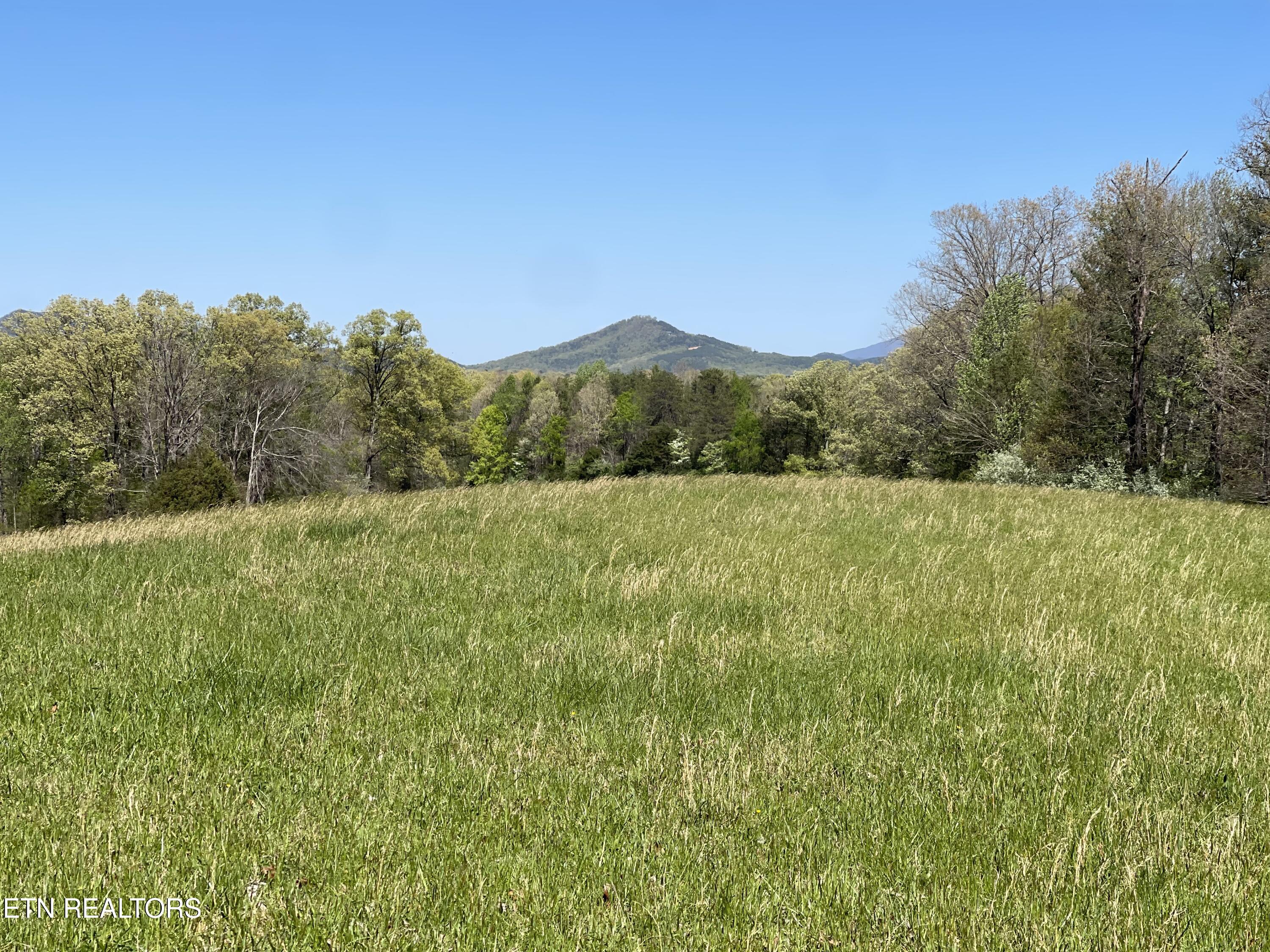 285 New Providence Road Tellico Plains TN 37385