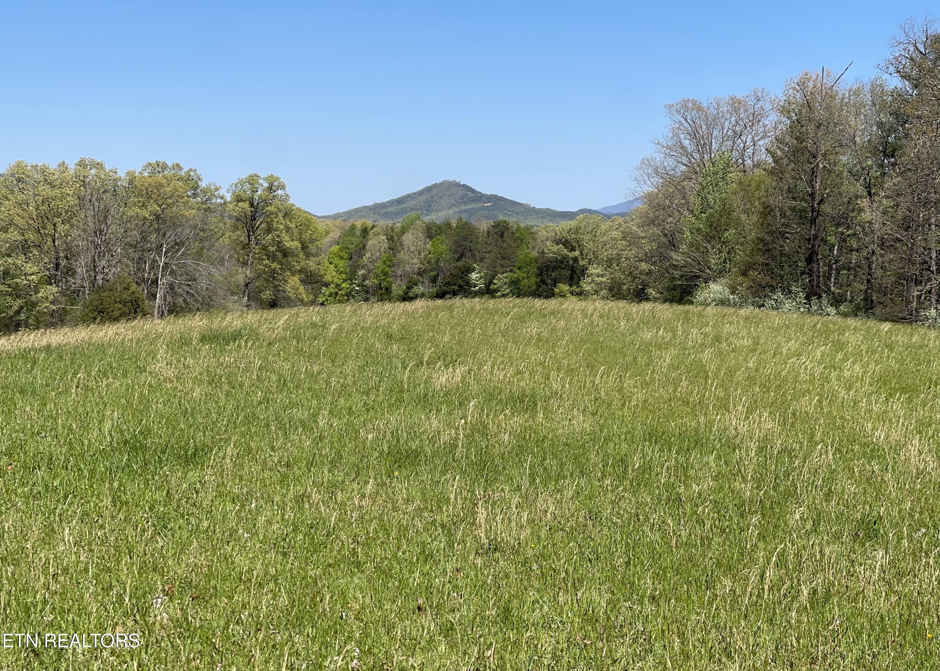 285 New Providence Road Tellico Plains TN 37385