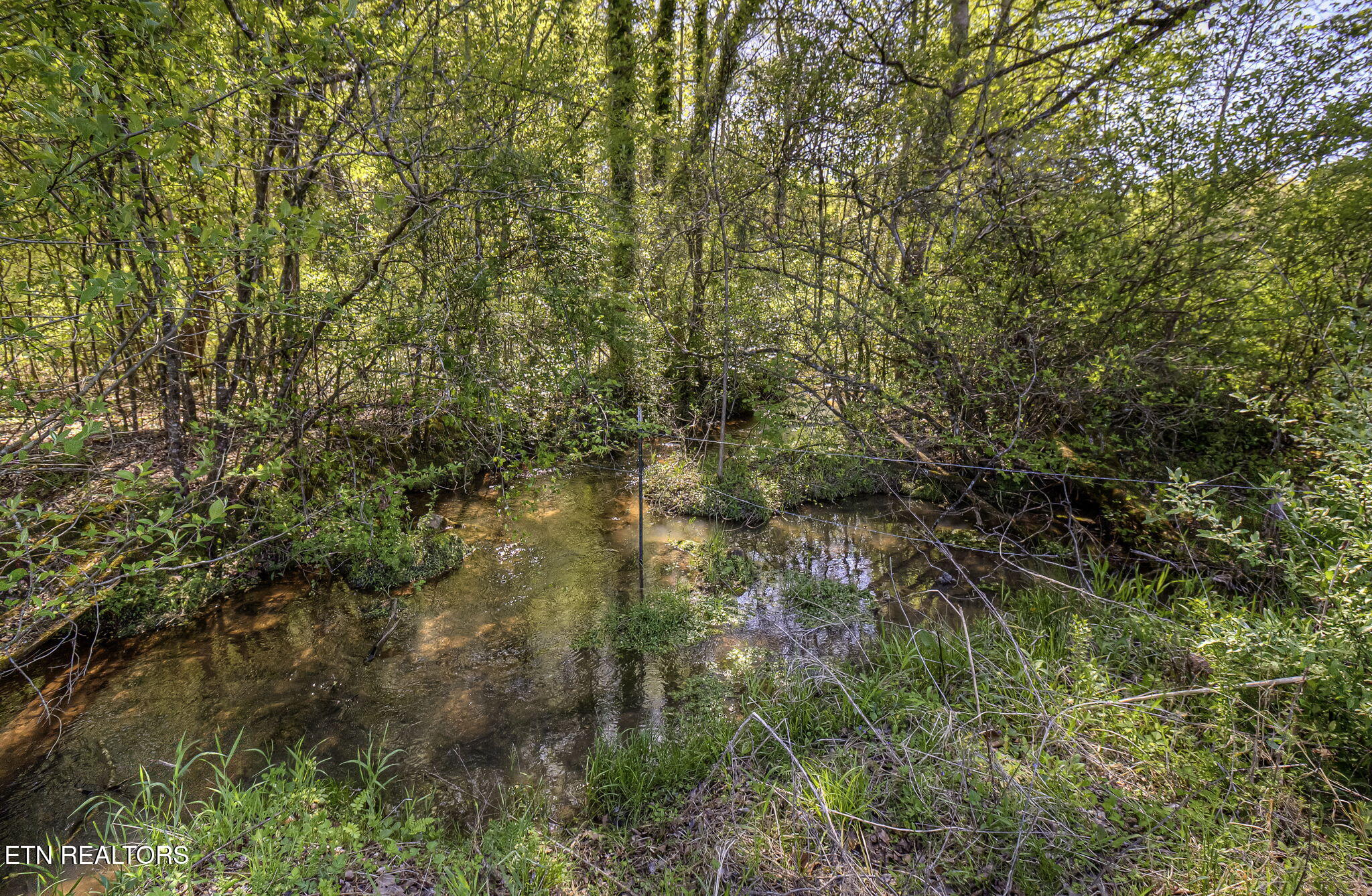 285 New Providence Road Tellico Plains TN 37385